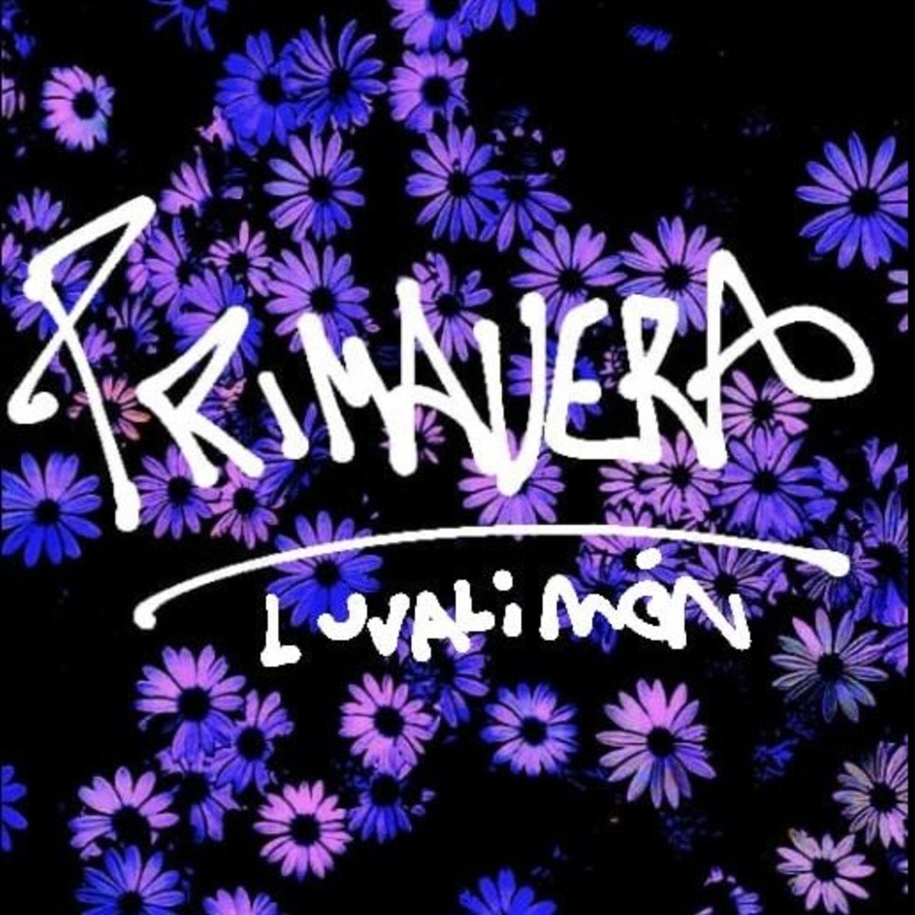 Релиз Primavera