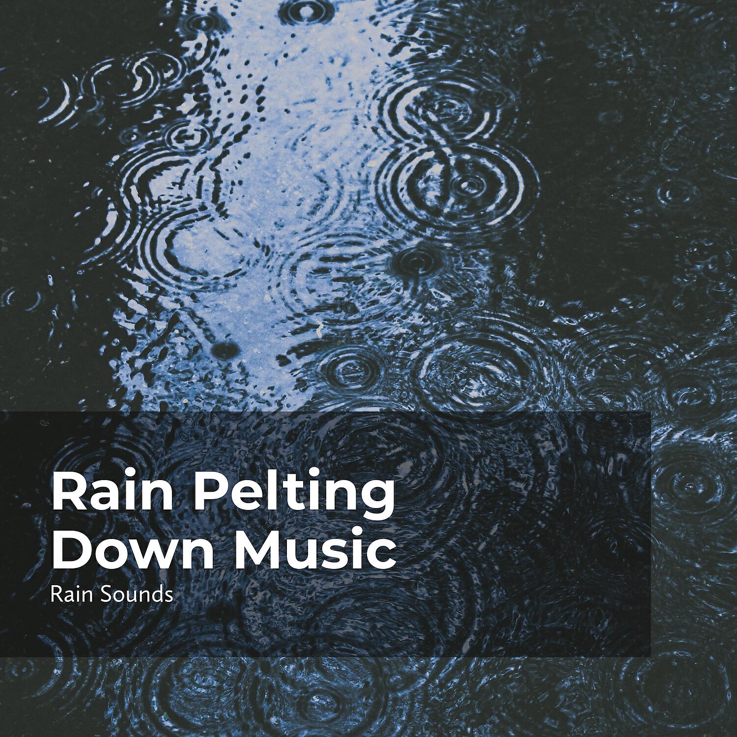 Релиз Rain Pelting Down Music
