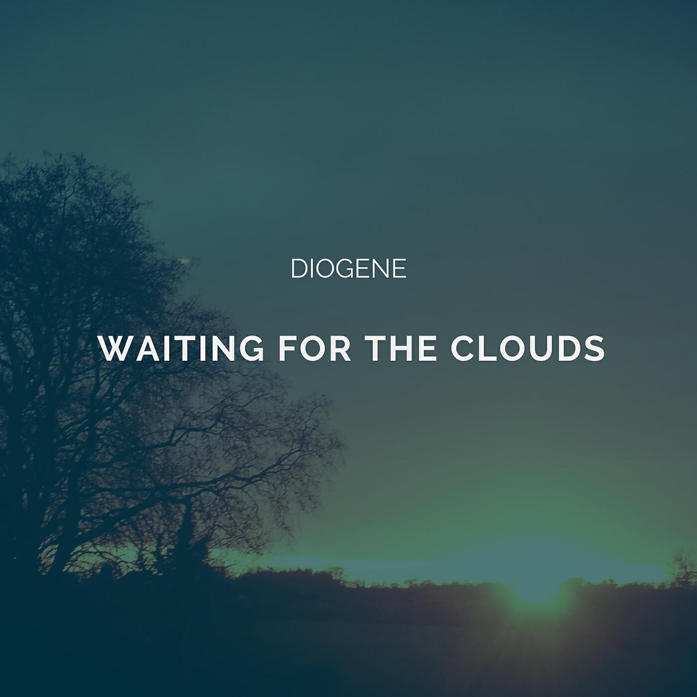 Постер альбома Waiting for the Clouds