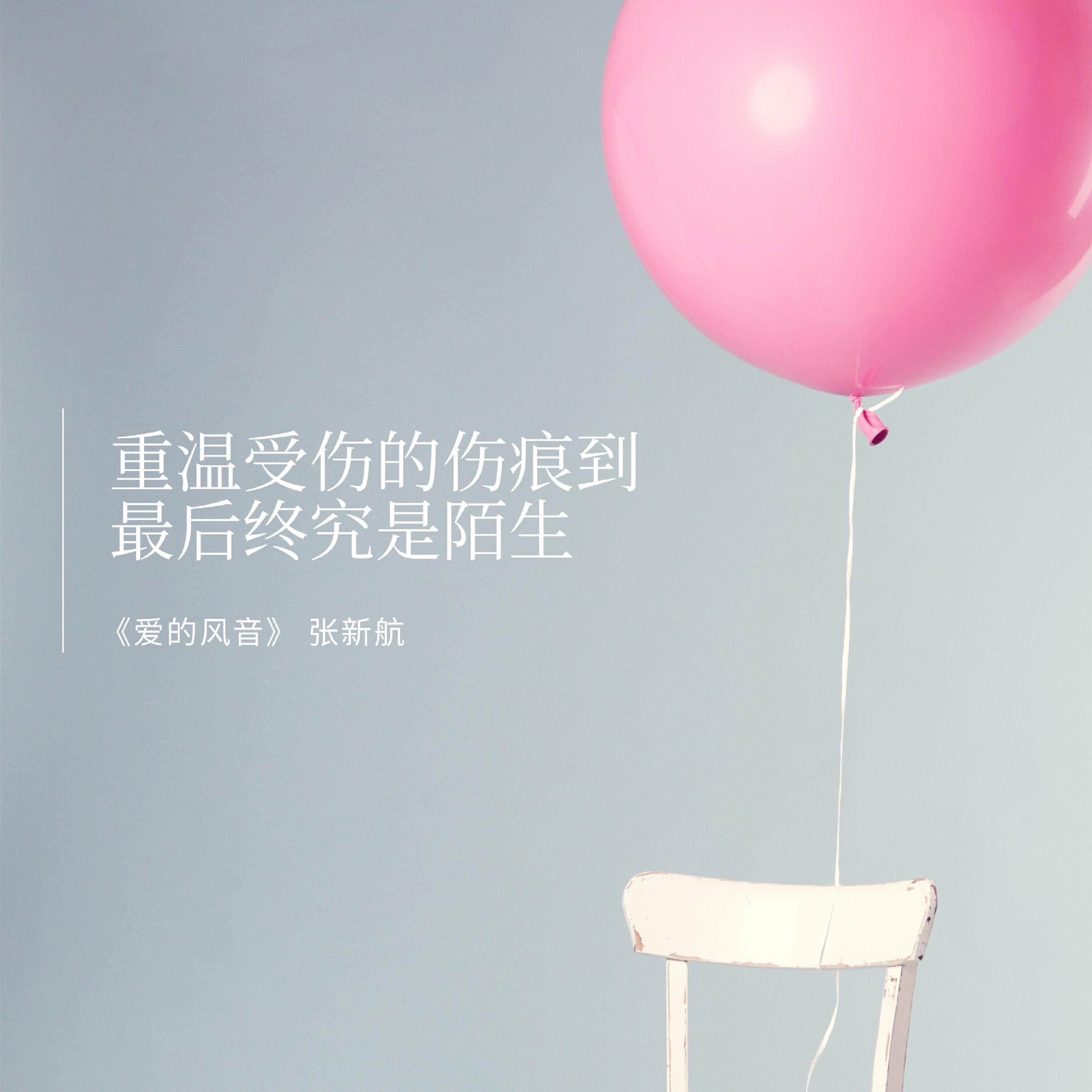 Релиз 爱的风音