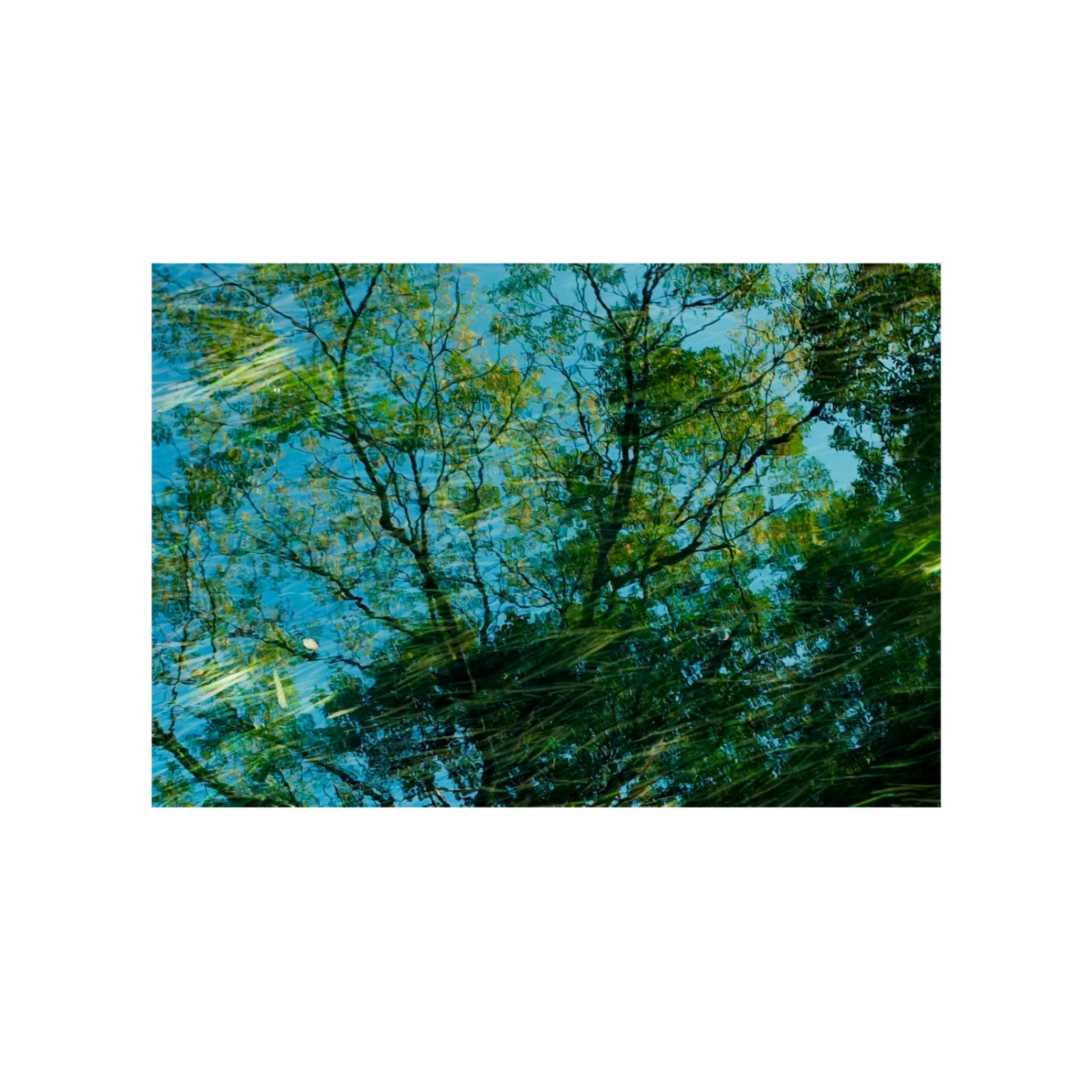 Релиз 拥你九春
