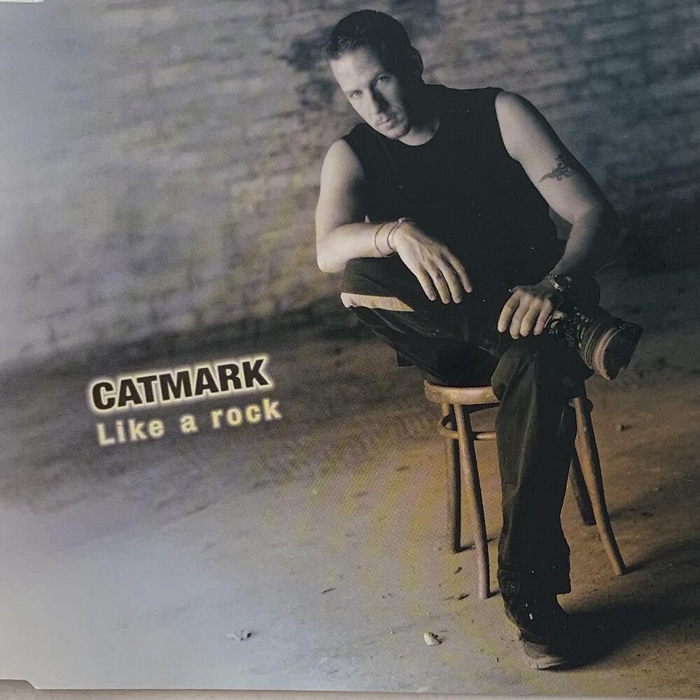 Релиз Like a Rock (Radio Version)