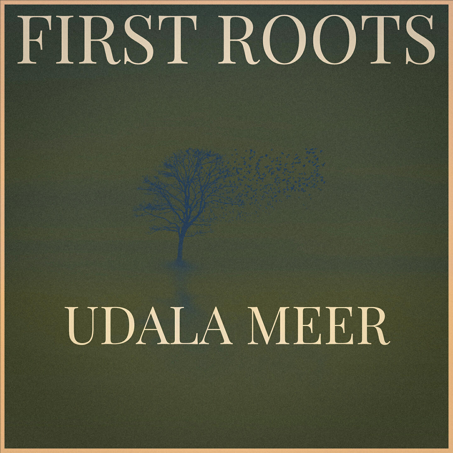 Udala Meer
