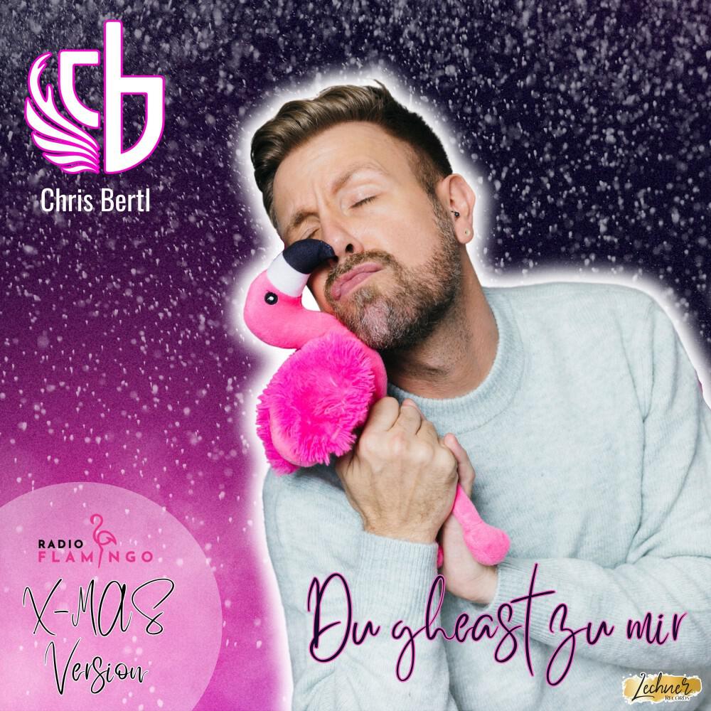 Релиз Du gheast zu mir (Flamingo X-Mas Version)