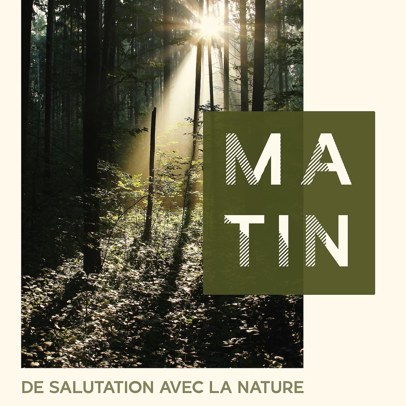 Релиз Matin de salutation avec la nature - Méditation et une journée de détente parfaite