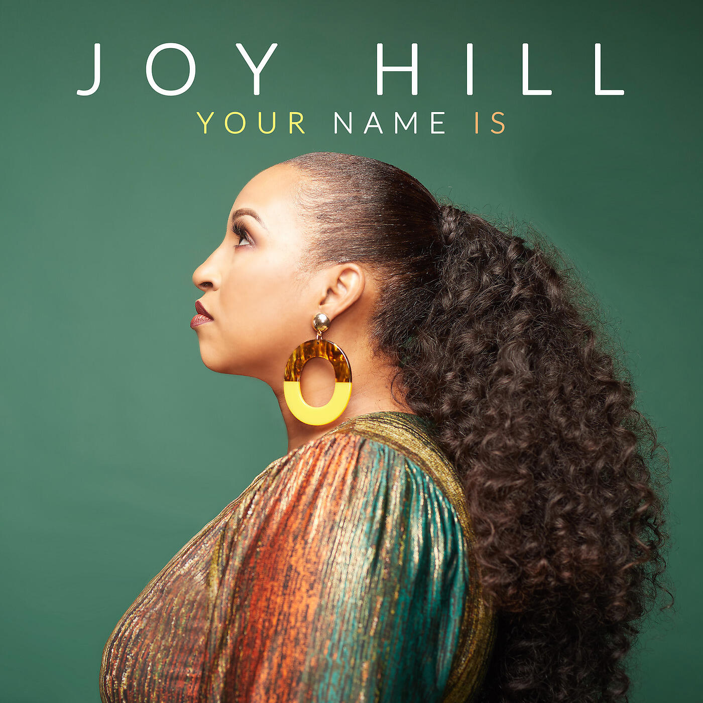 Релиз You Name Is