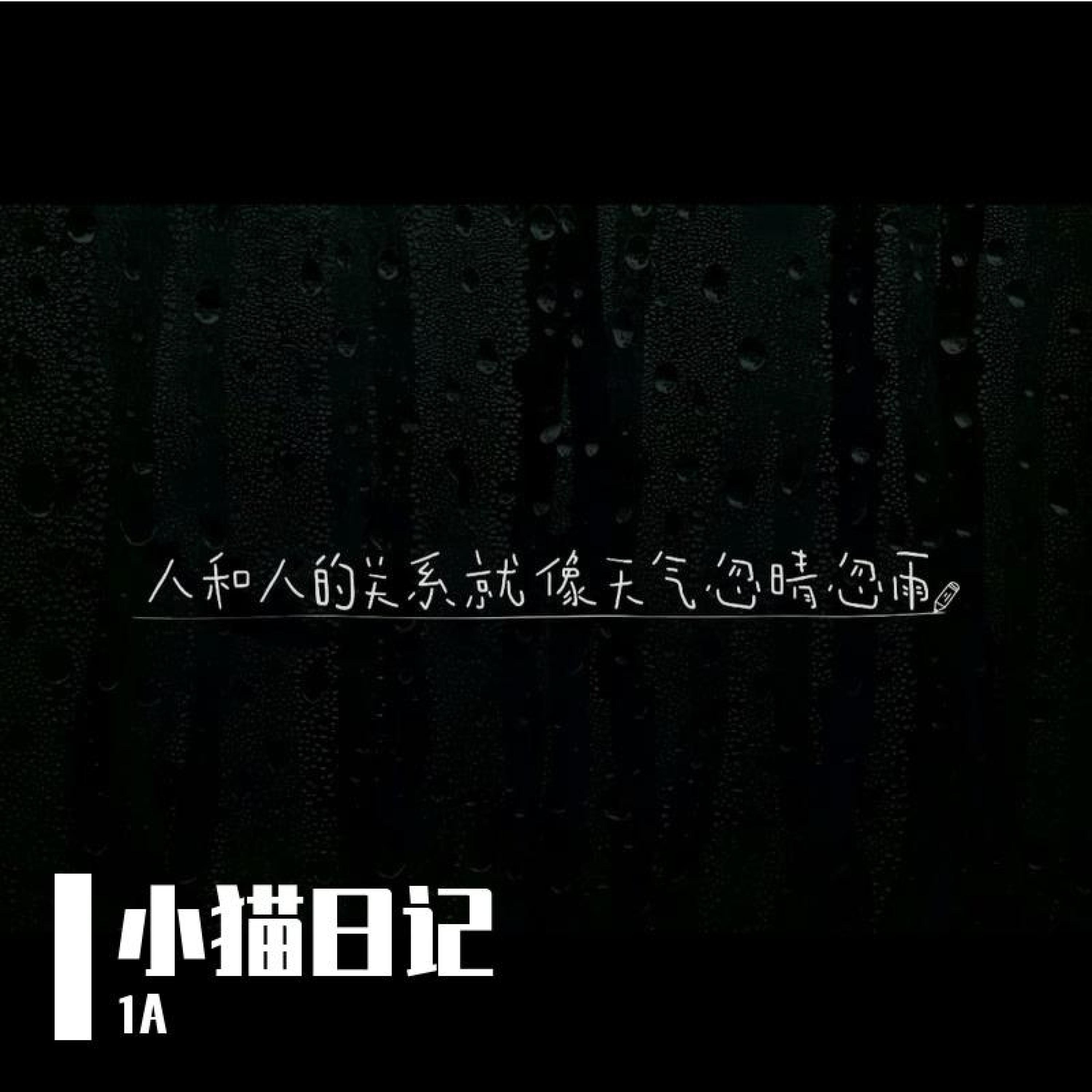 Релиз 小猫日记