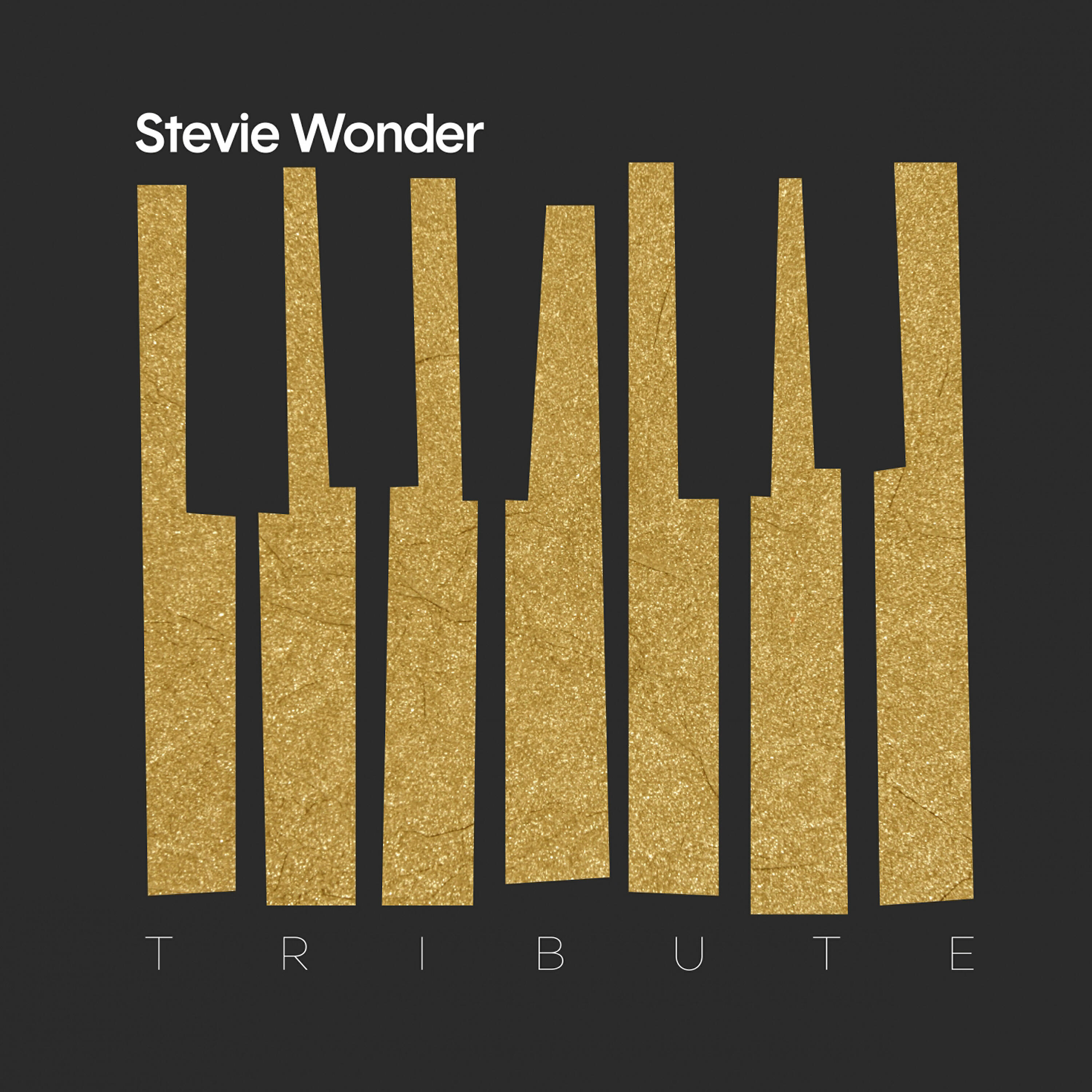 Релиз A Tribute to Stevie Wonder