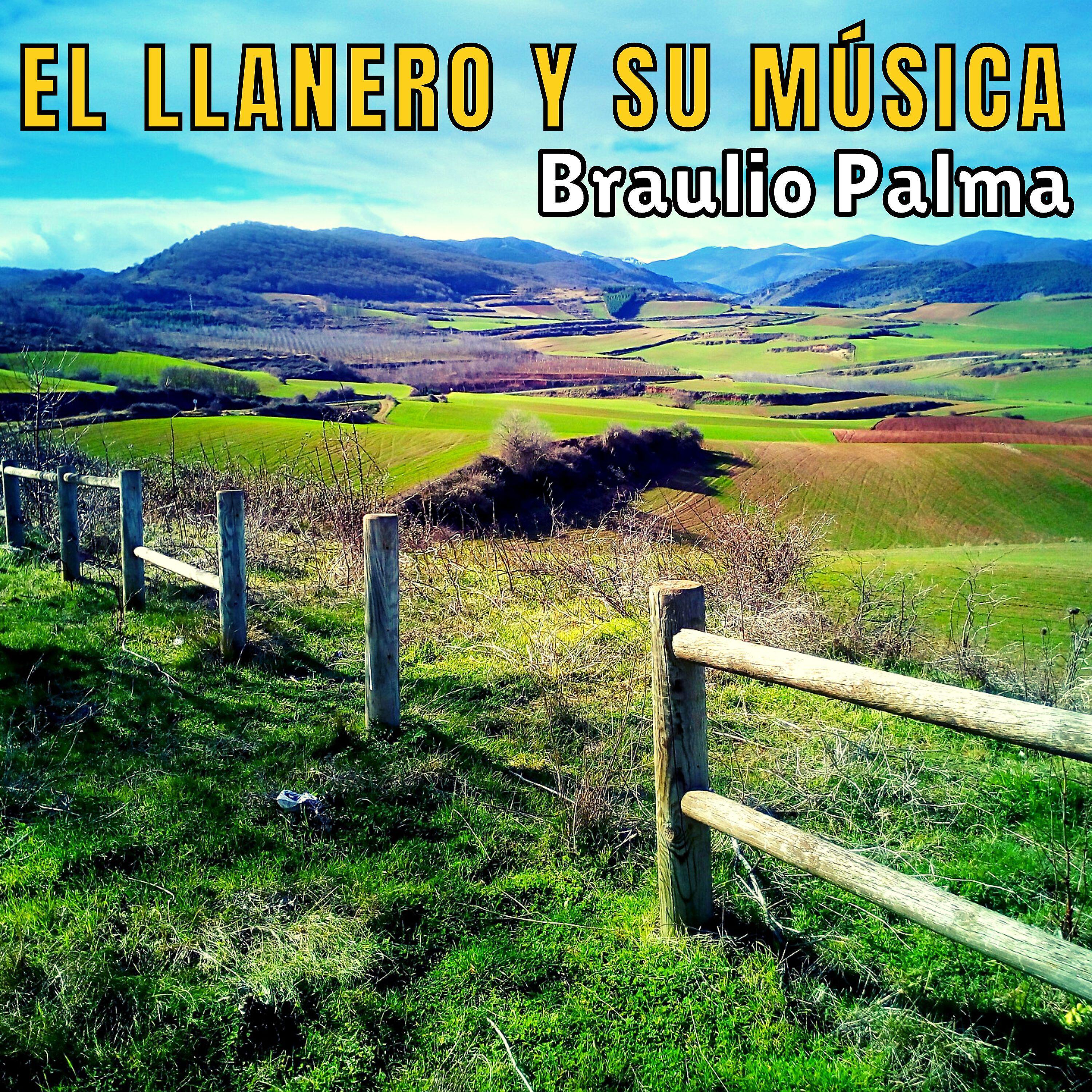 Релиз El Llanero y Su Música