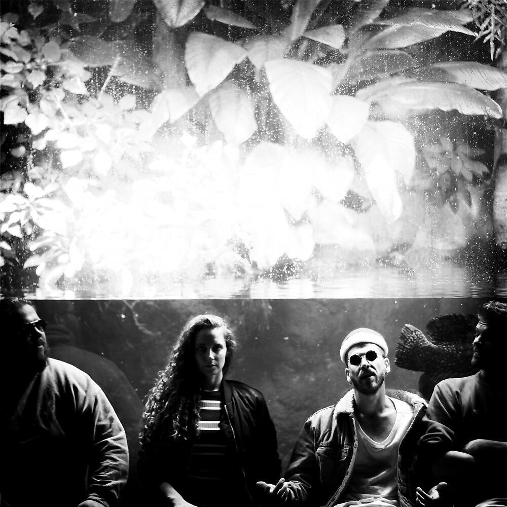 Релиз Distorted Waves EP