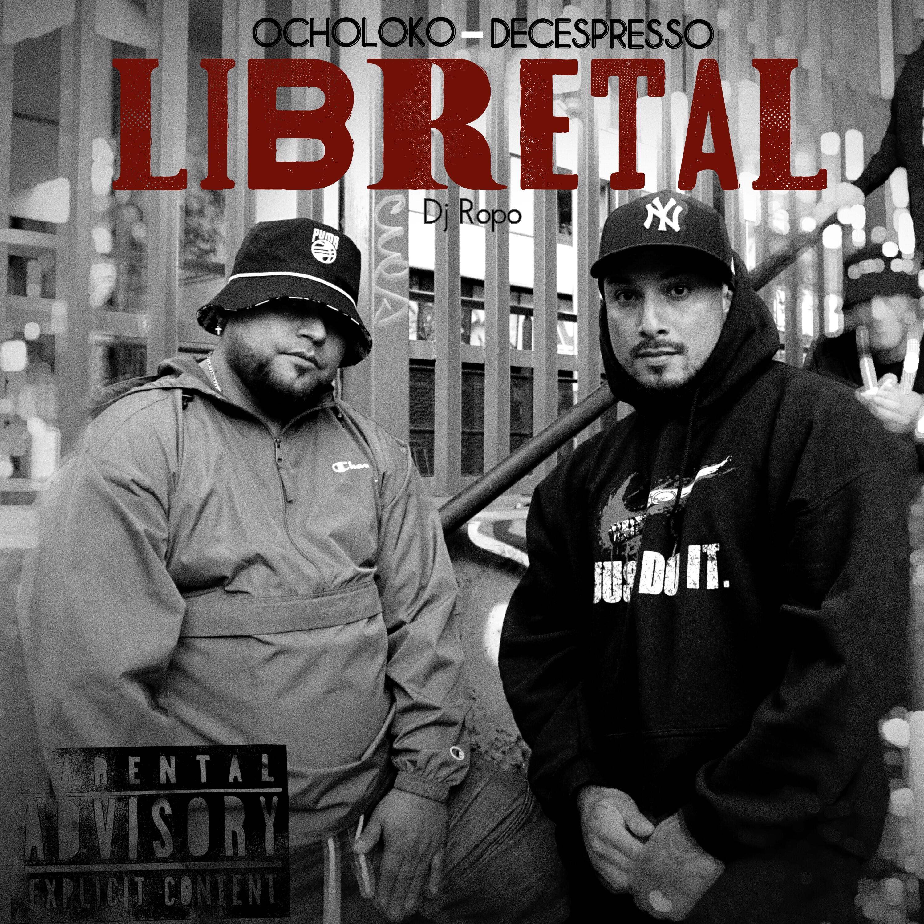 Релиз Libretal