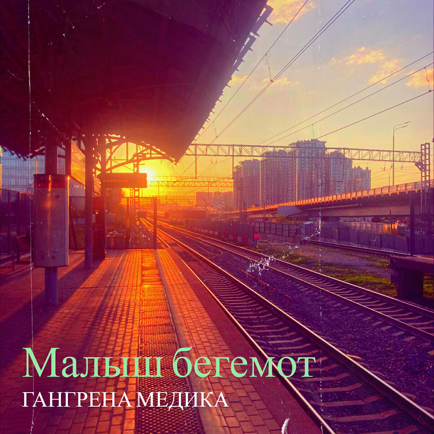 Релиз Малыш бегемот