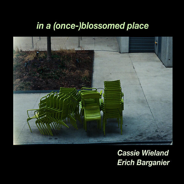 Cassie Wieland