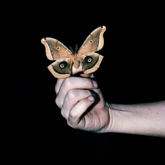Релиз All Systems Are Lying / Run Free