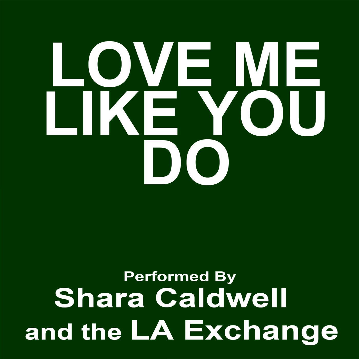 Постер альбома Love Me Like You Do