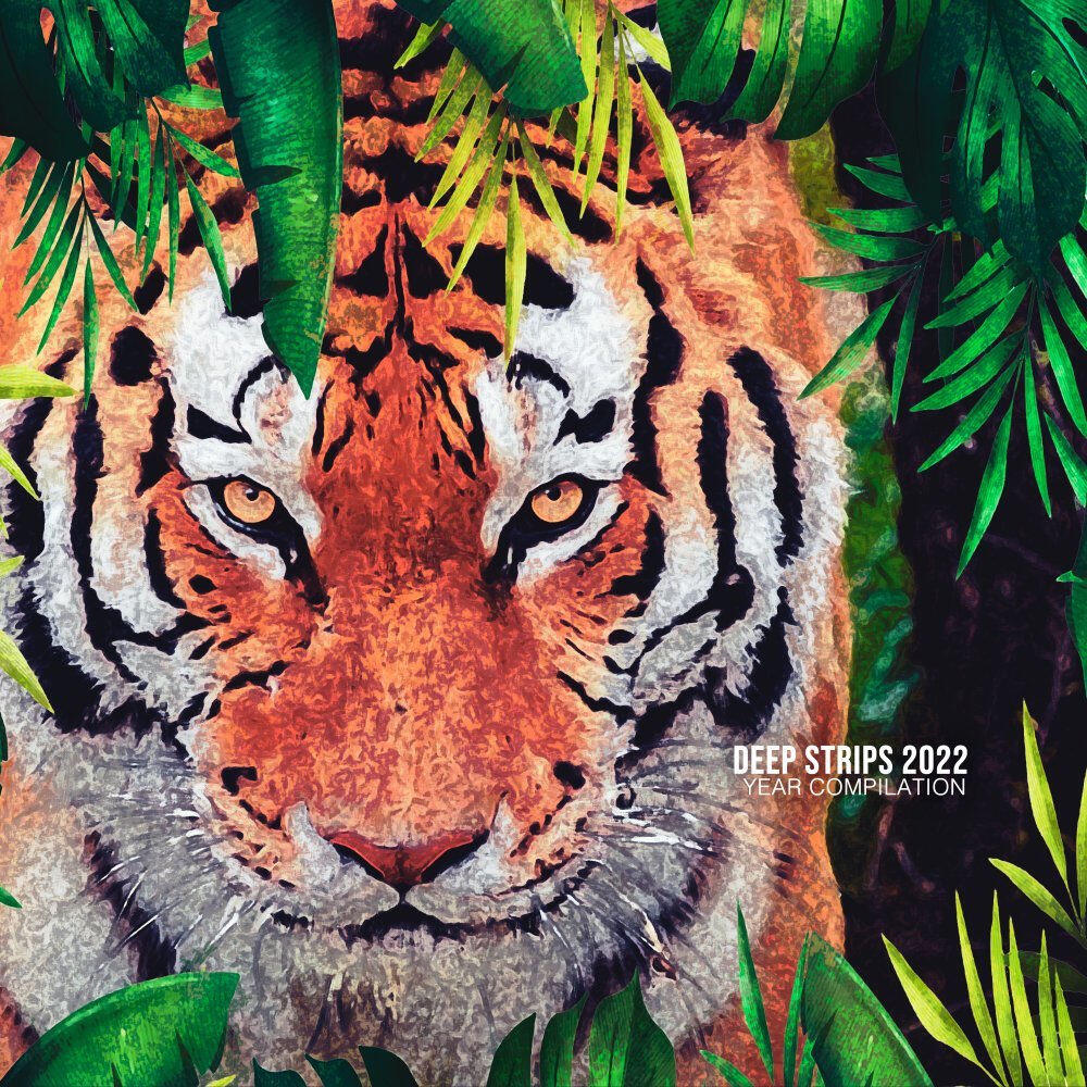 Релиз Deep Strips 2022 Year compilation