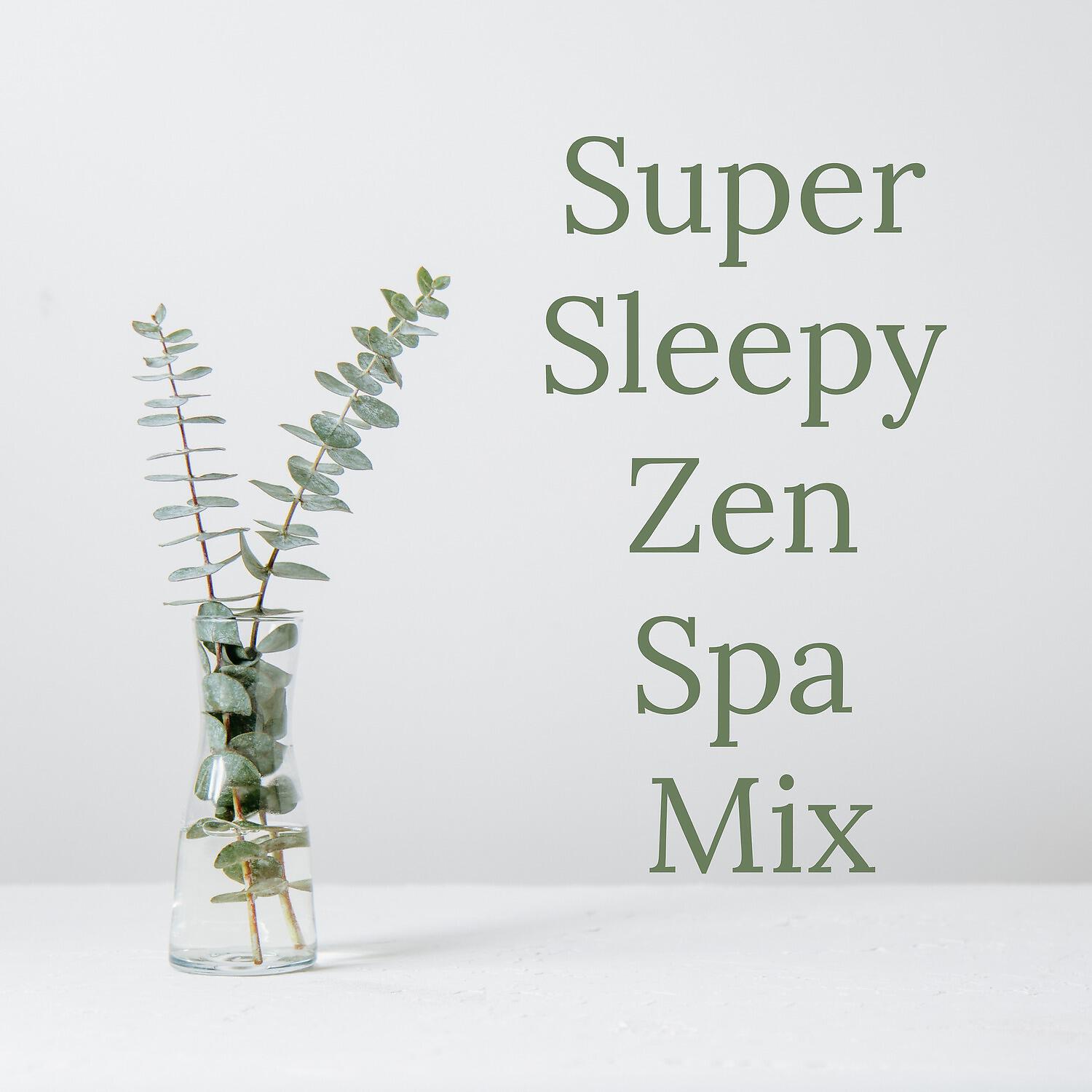 Релиз Super Sleepy Zen Spa Mix