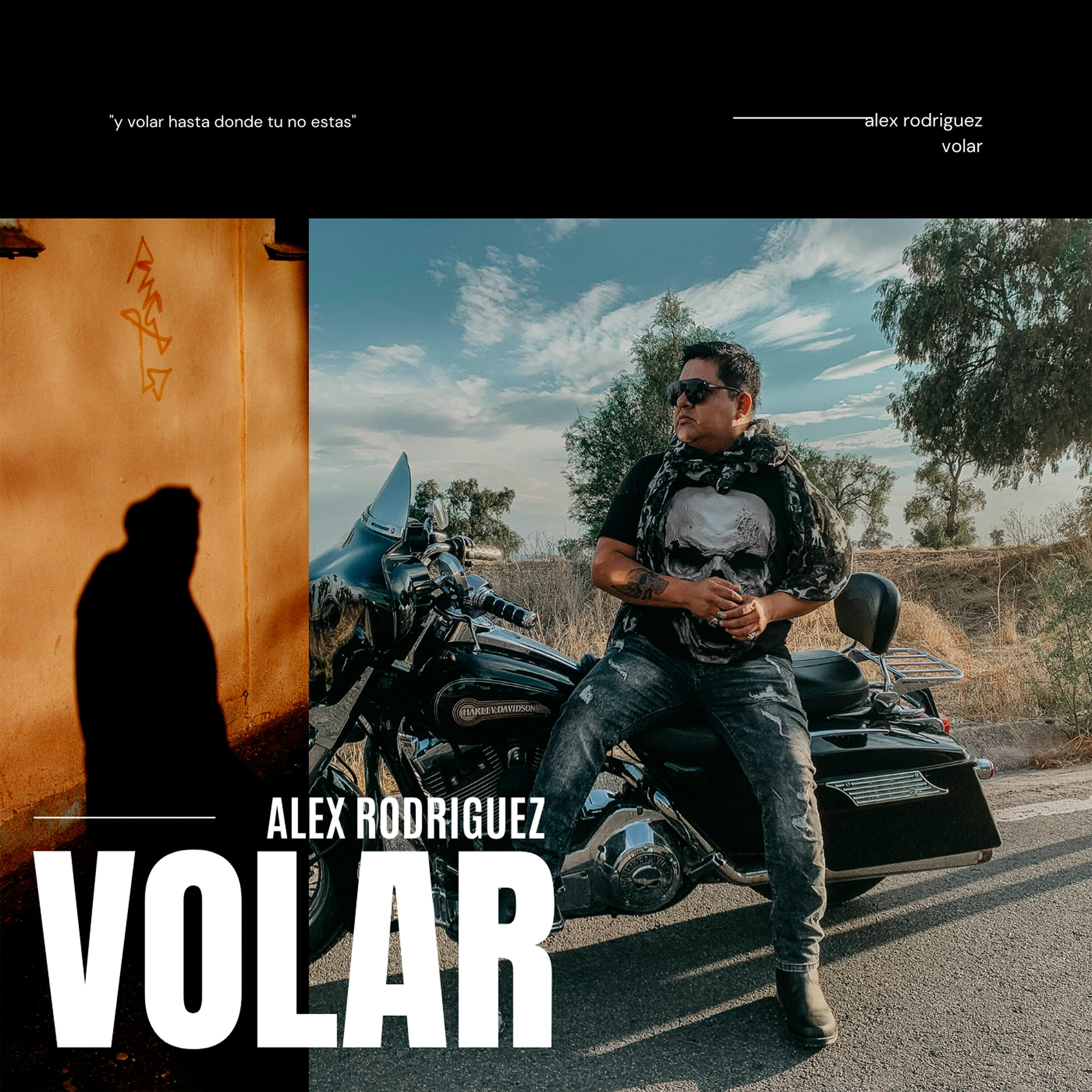 Релиз Volar