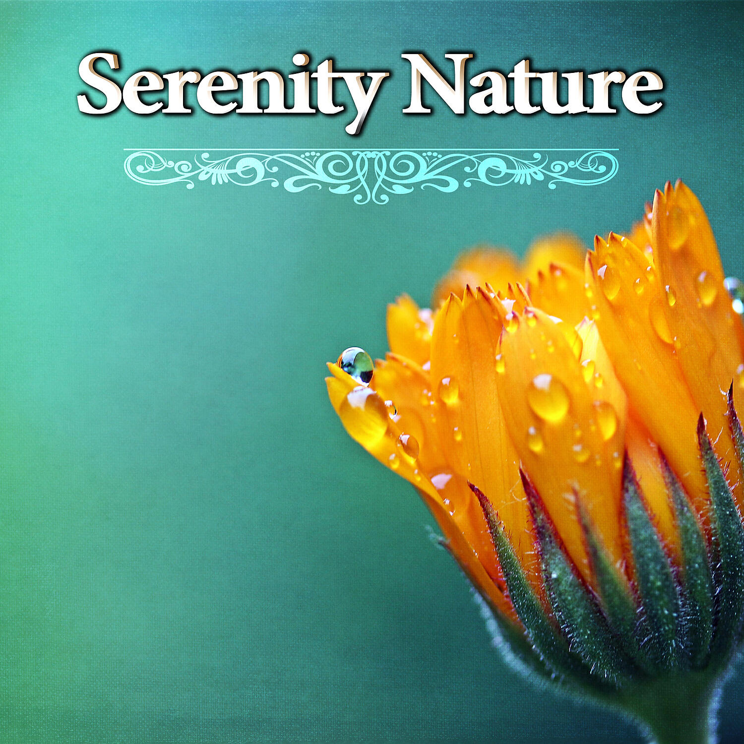 Релиз Serenity Nature