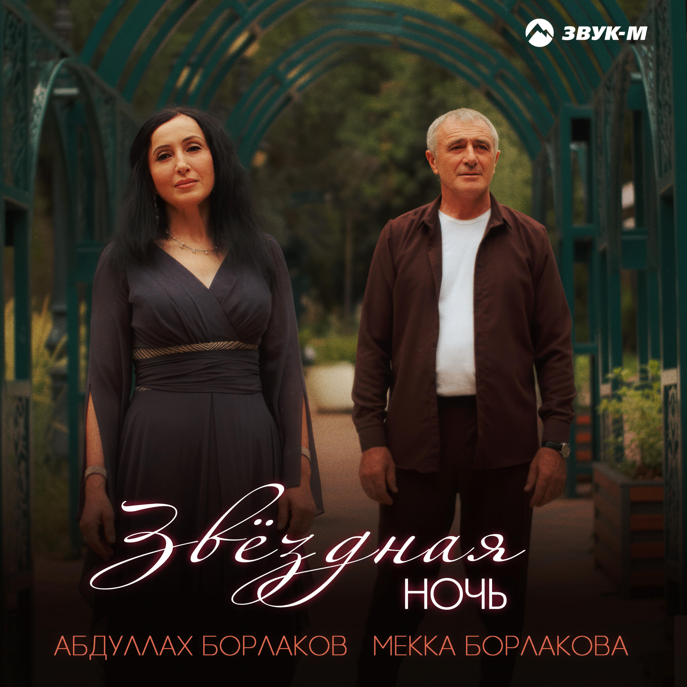 Релиз Звёздная ночь
