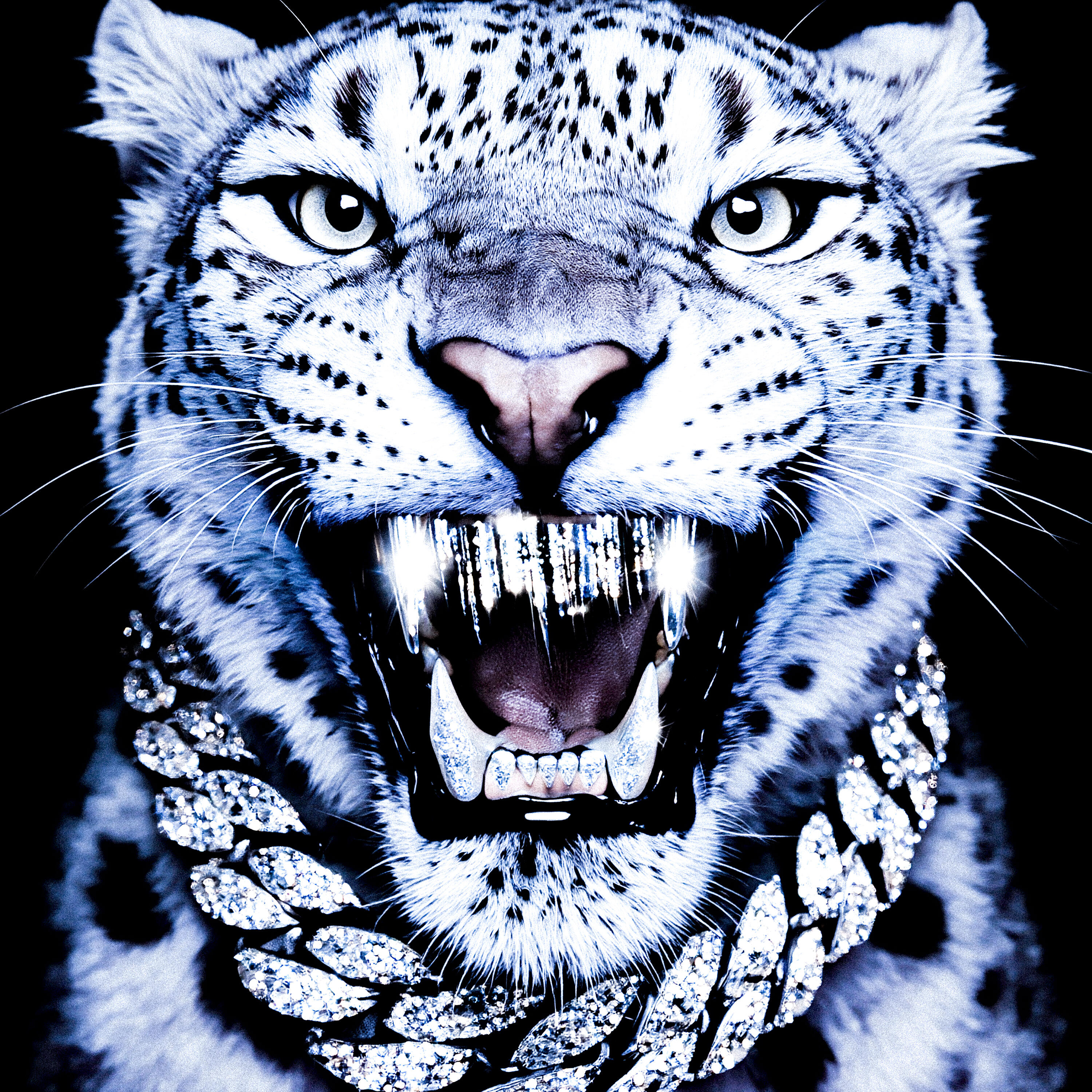 Релиз WHITE TIGER
