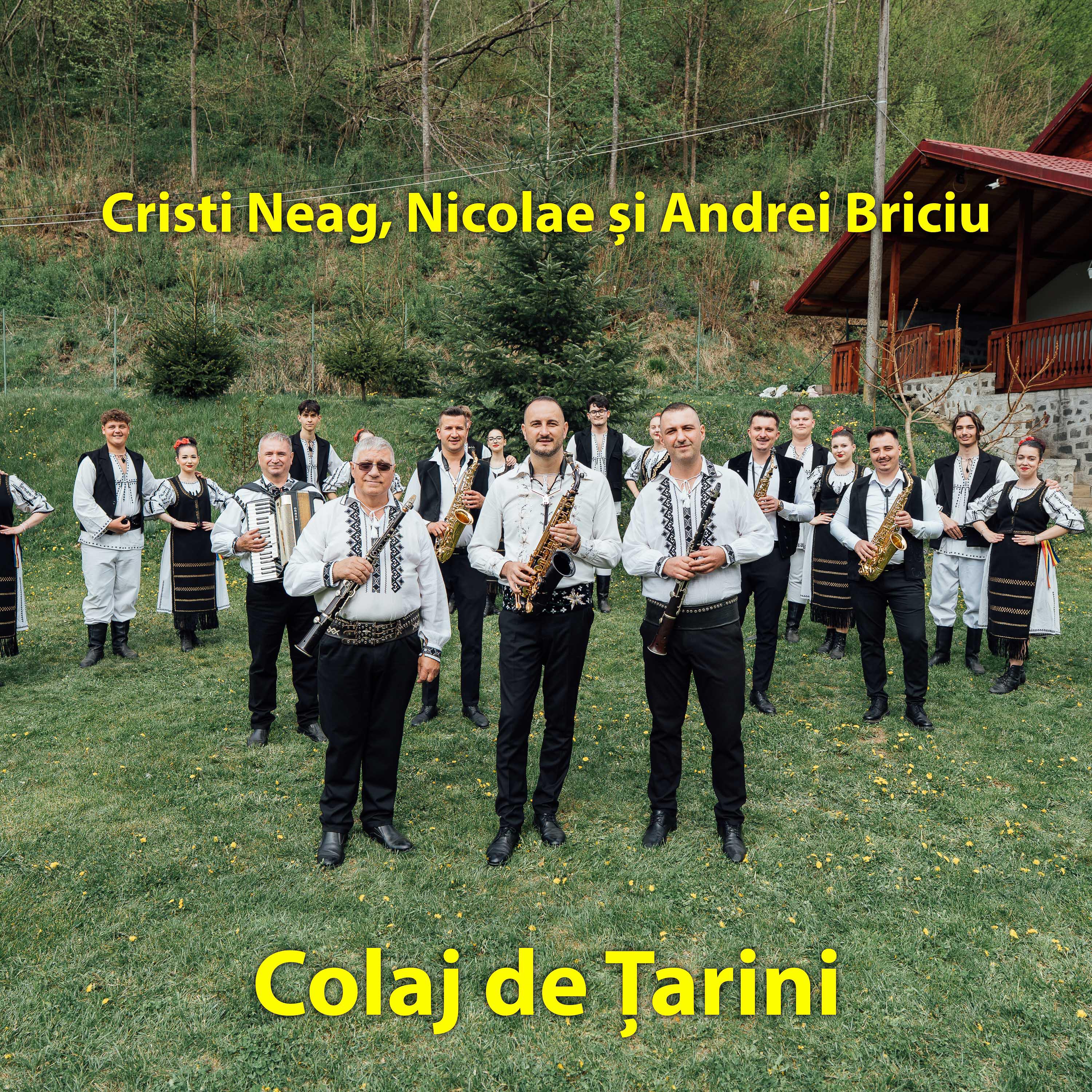 Релиз Colaj de Țarini