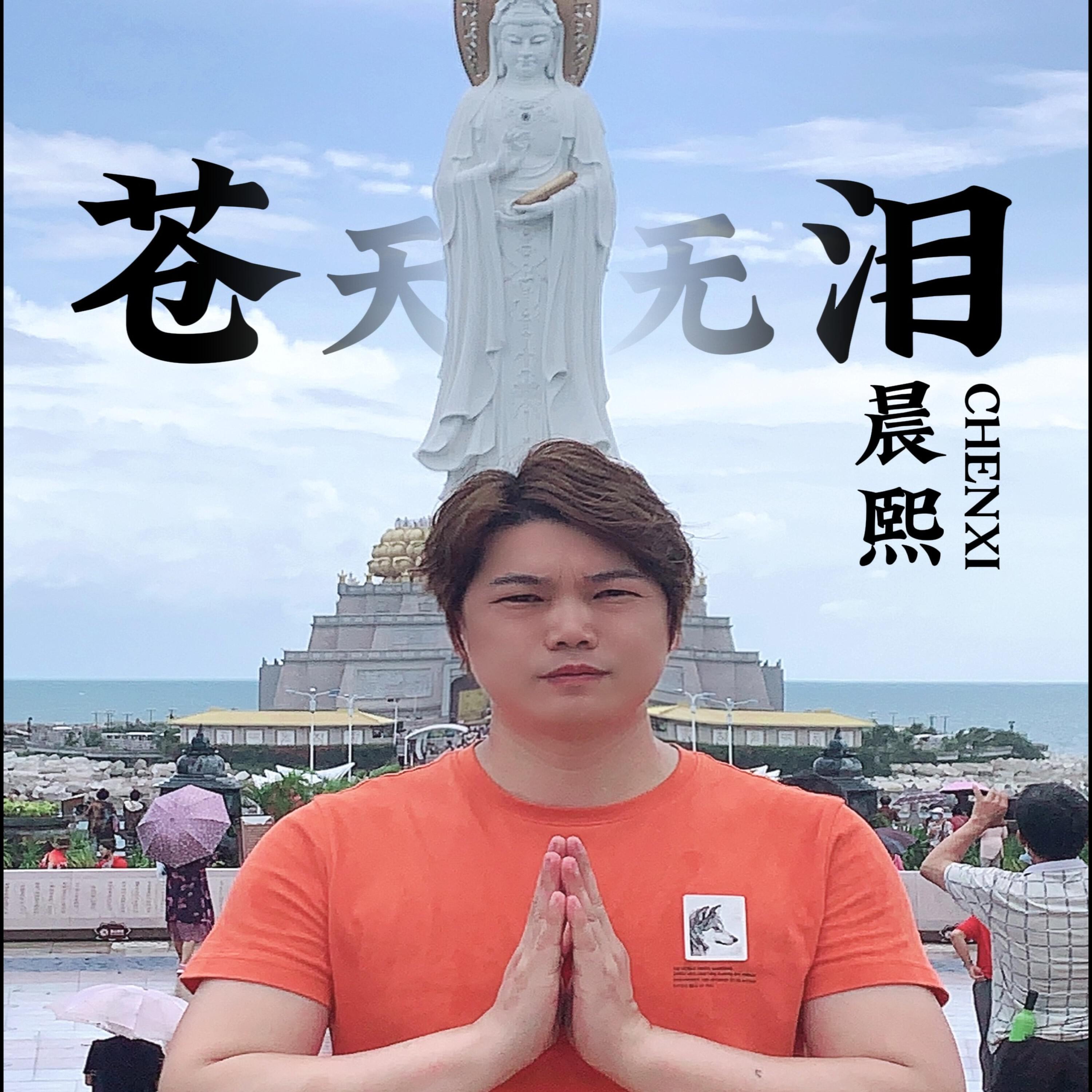 Релиз 苍天无泪