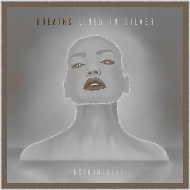 Релиз Lined in Silver (Instrumental)