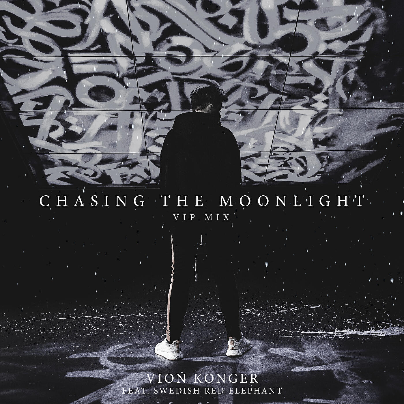 Релиз Chasing the Moonlight (VIP Mix) (feat. Swedish Red Elephant)