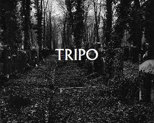Tripo