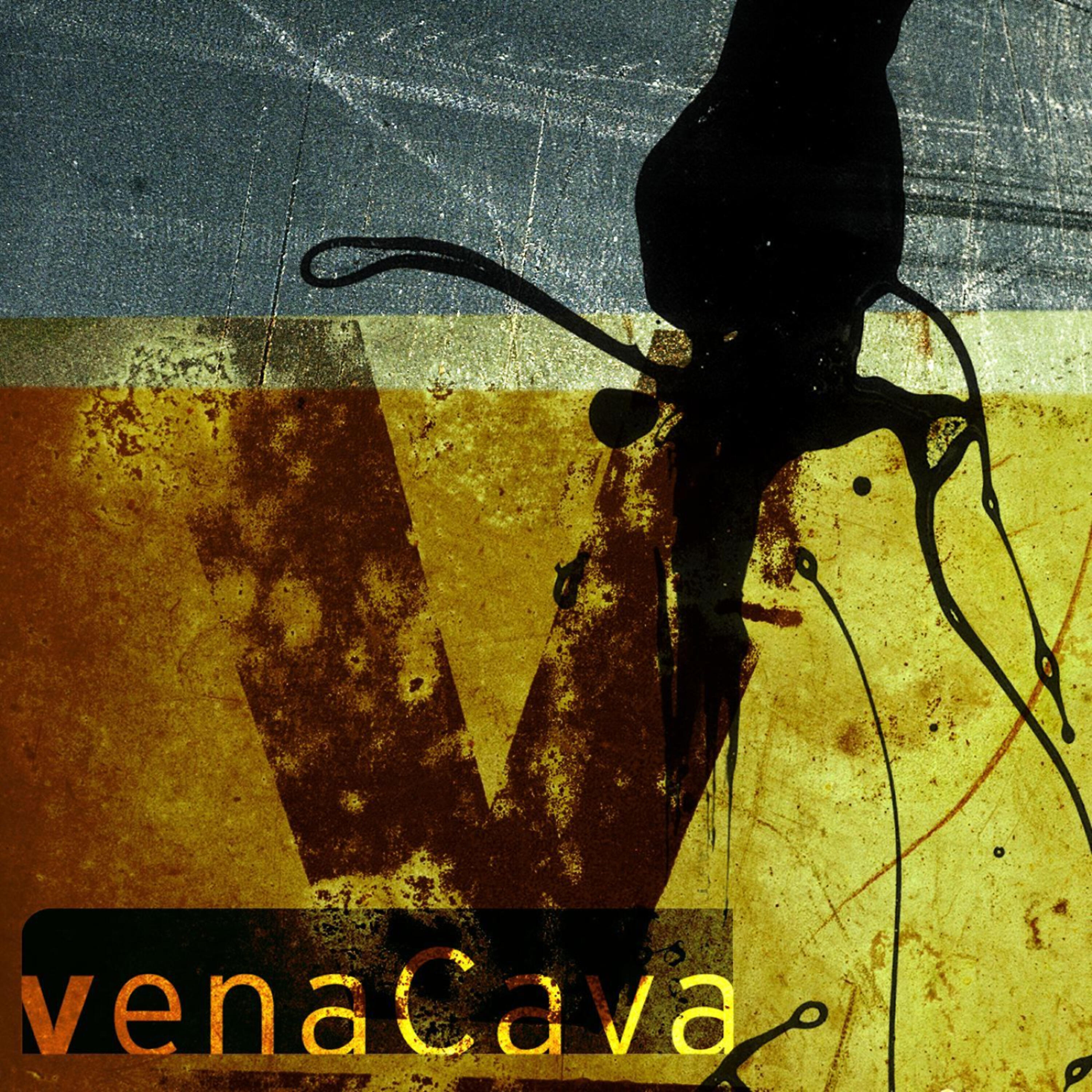 Релиз Vena Cava