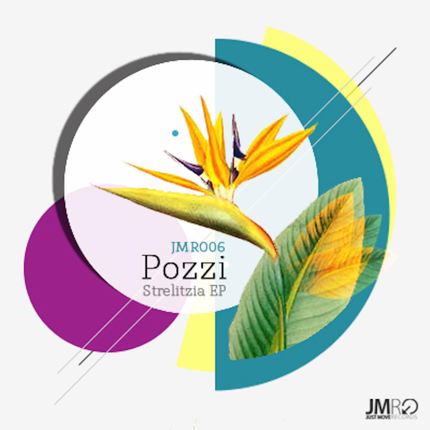 Релиз Strelitzia