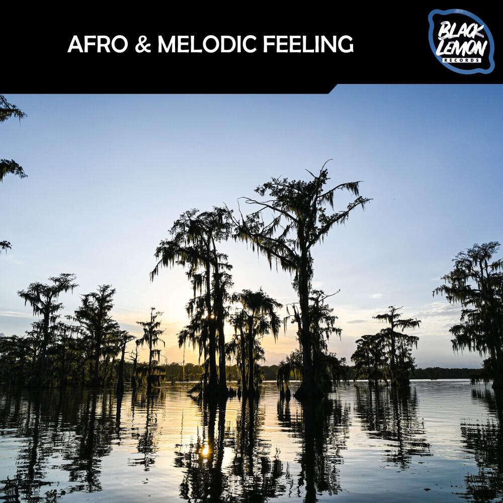 Релиз Afro & Melodic Feeling