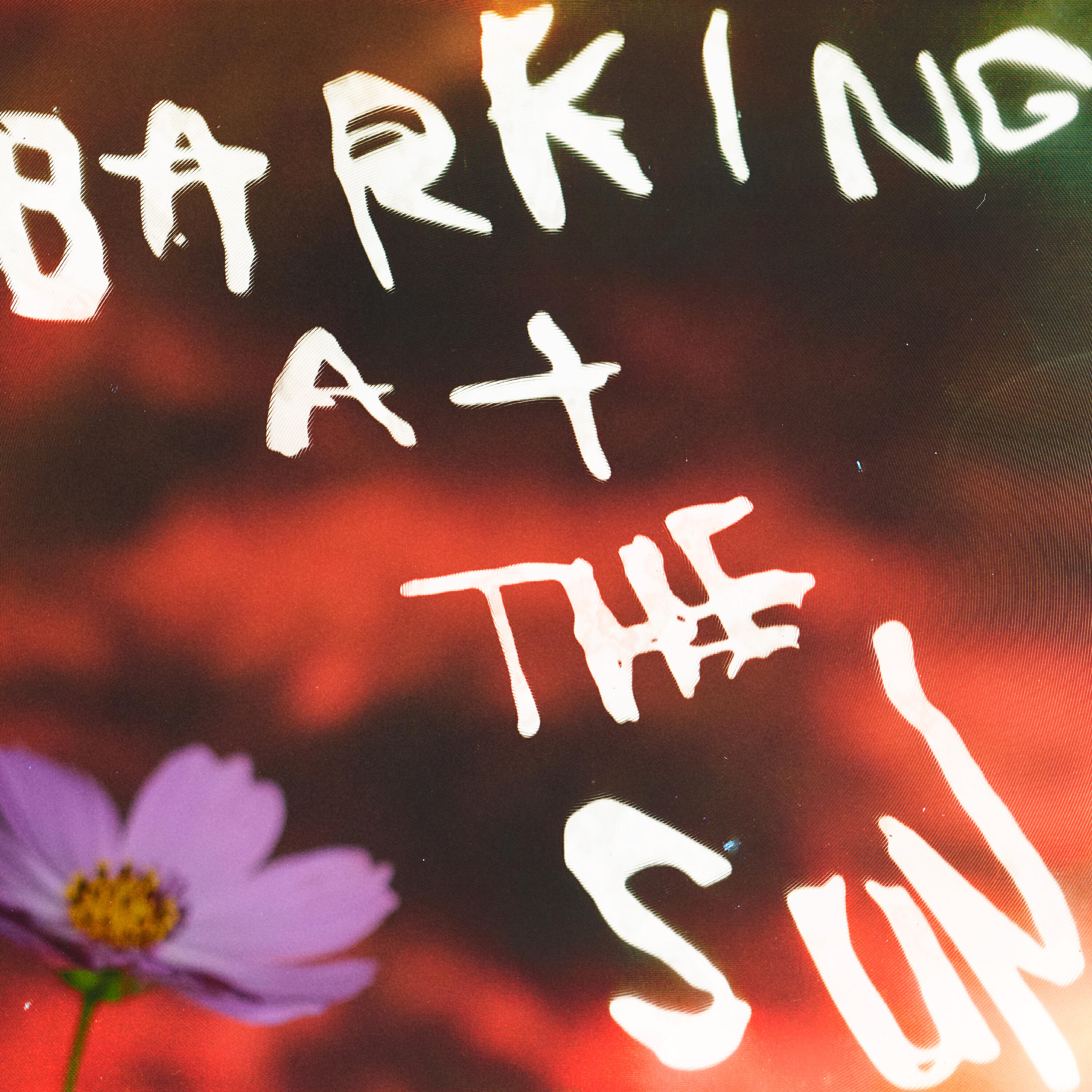 Релиз Barking at the Sun