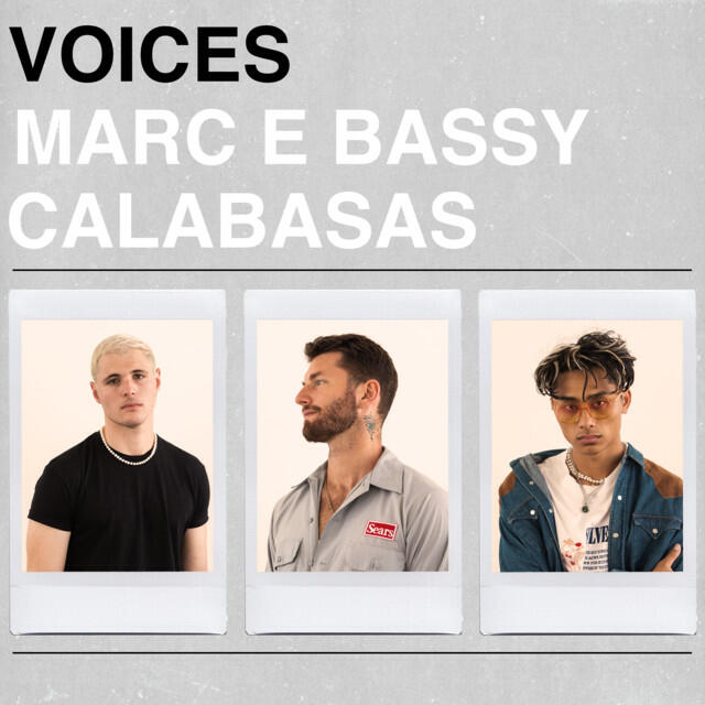 Постер альбома Voices