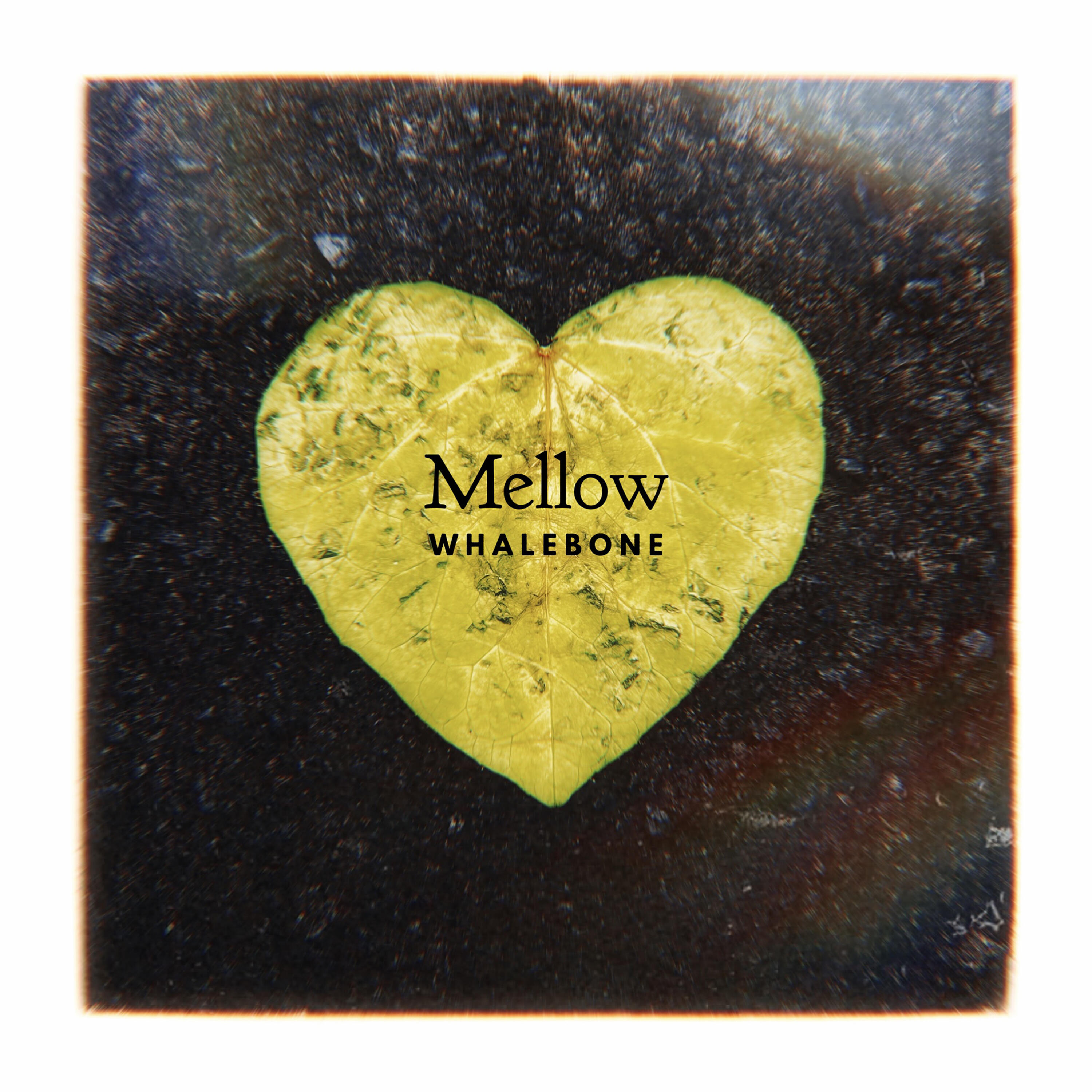 Релиз Mellow