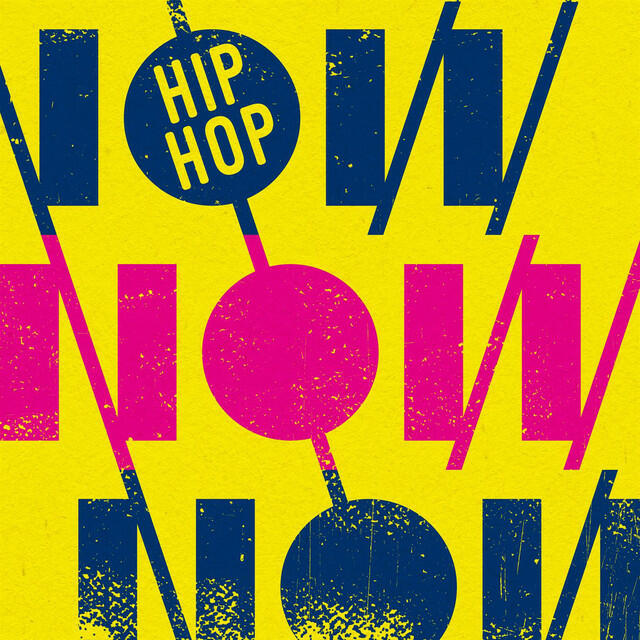 Постер альбома Hip Hop Now