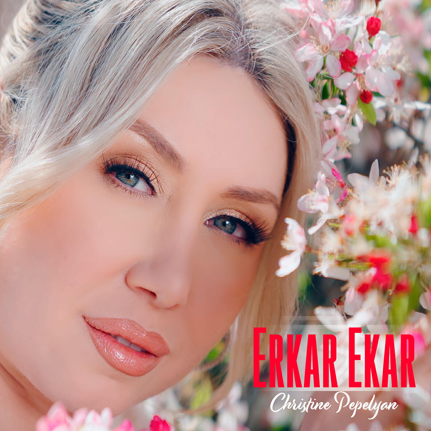 Релиз Erkar Ekar