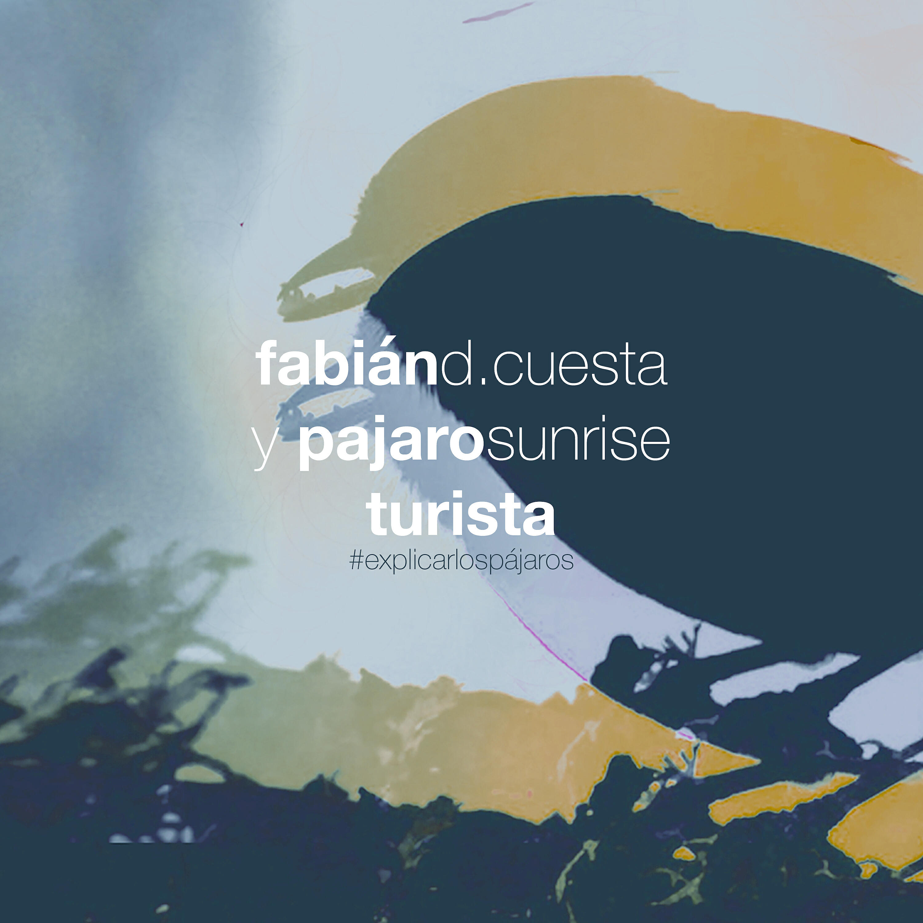 Релиз Turista - Explicar los Pájaros
