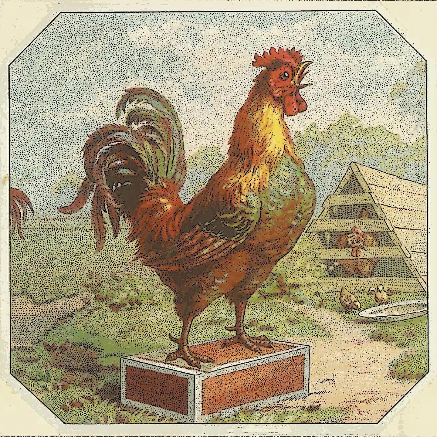 Fritz Schulz Reichel