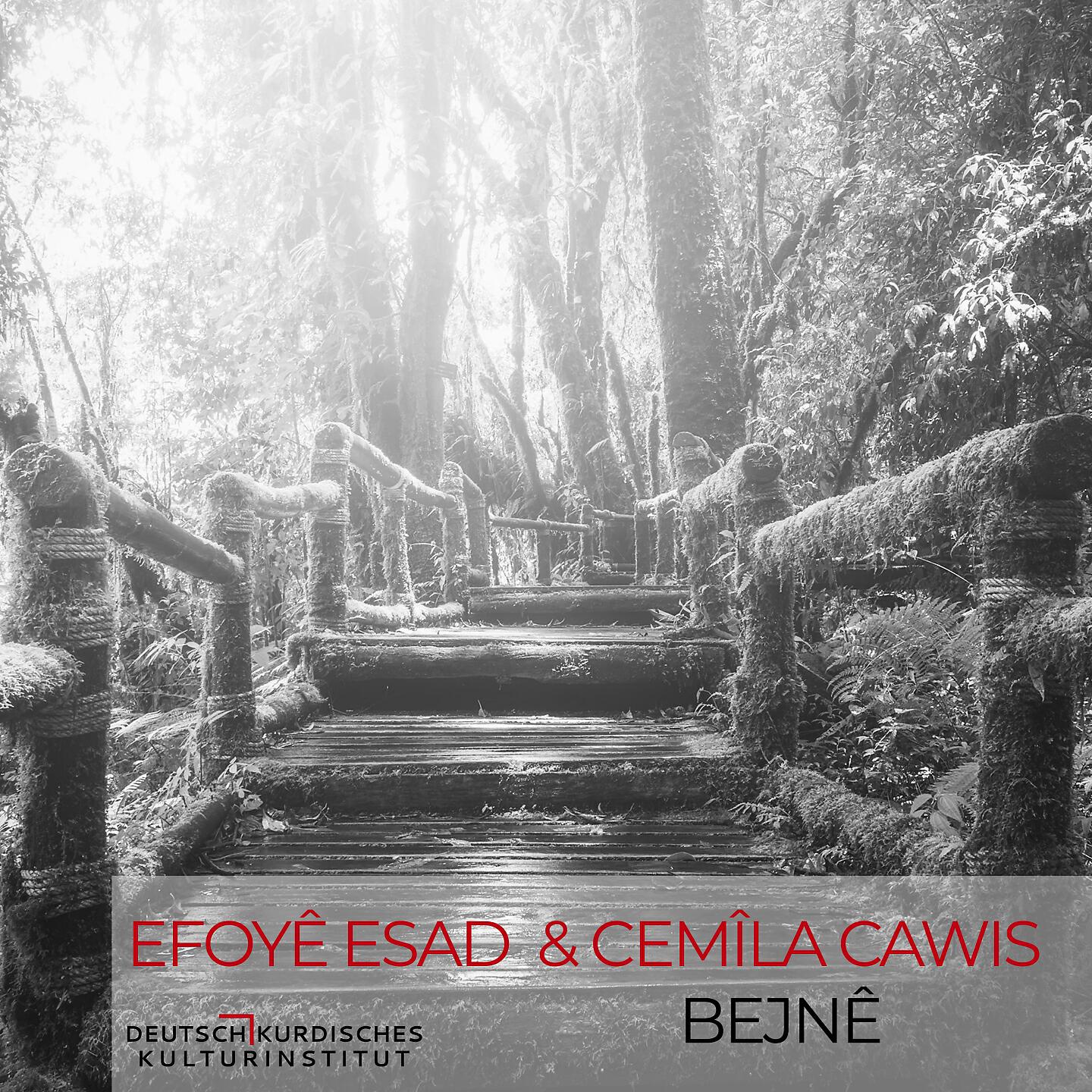 Релиз Bejnê