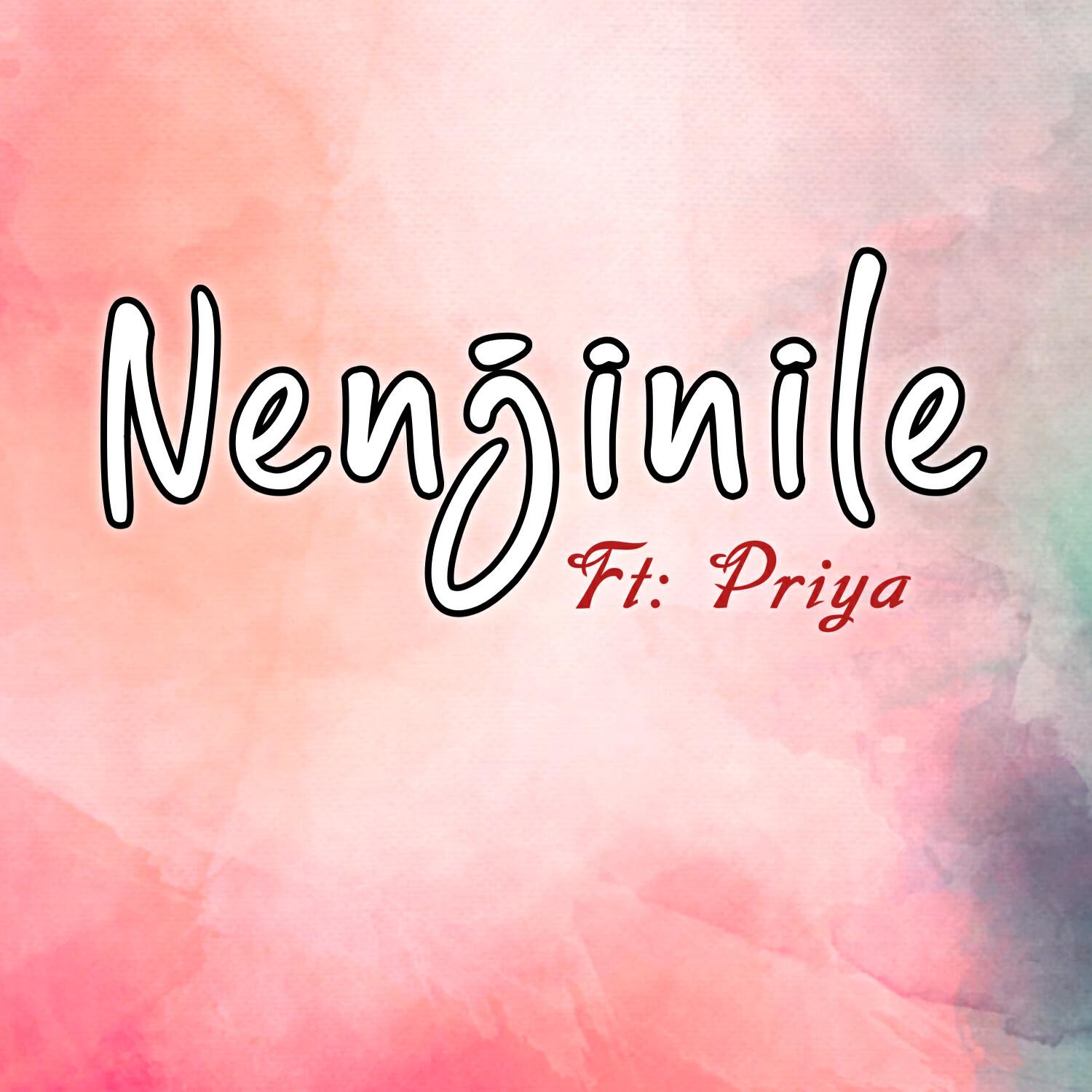 Релиз Nenjinile
