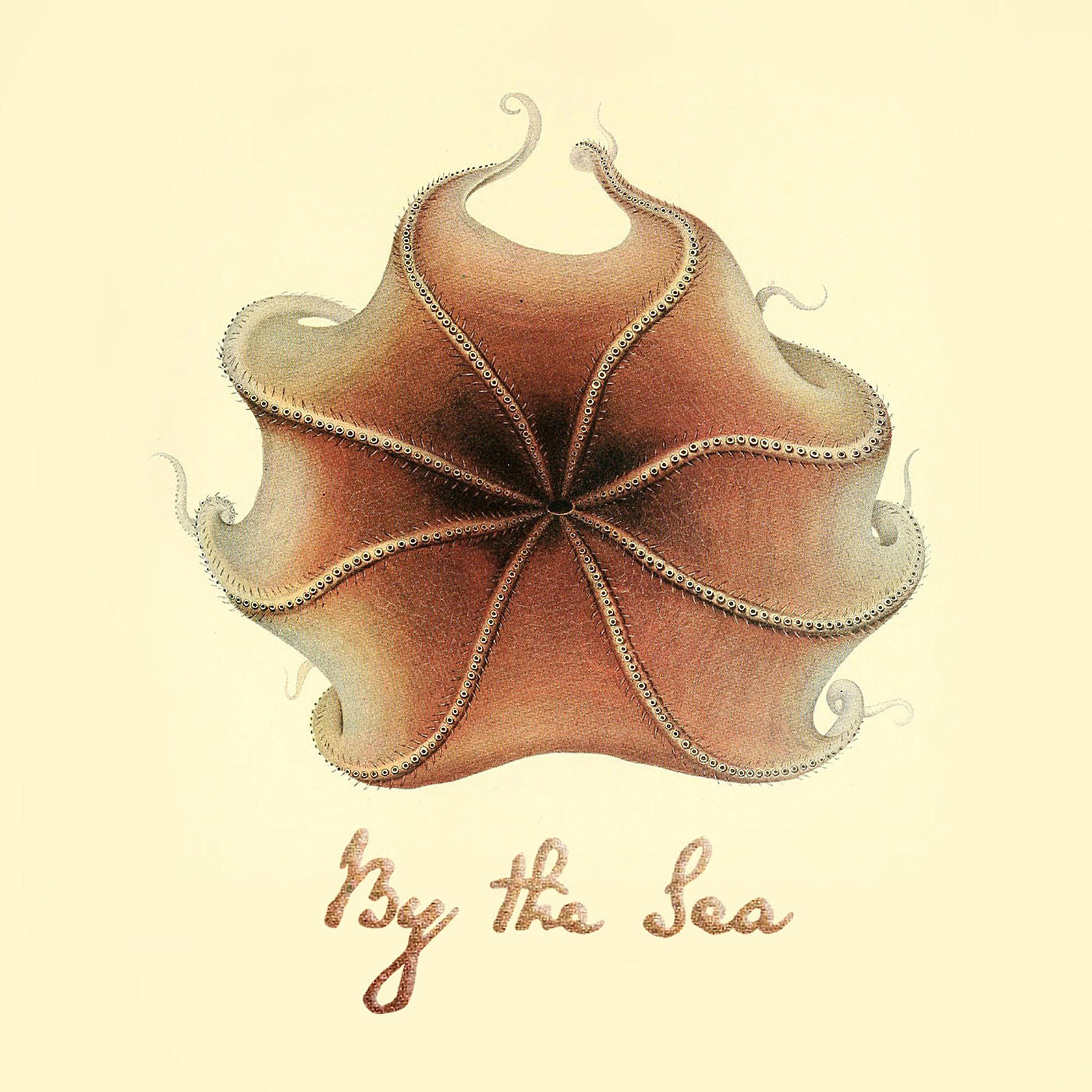 Релиз By the Sea