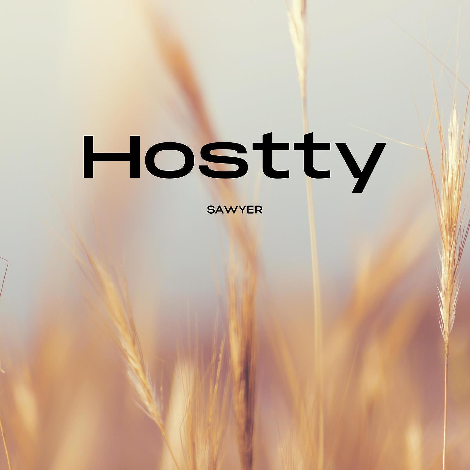 Релиз Hostty