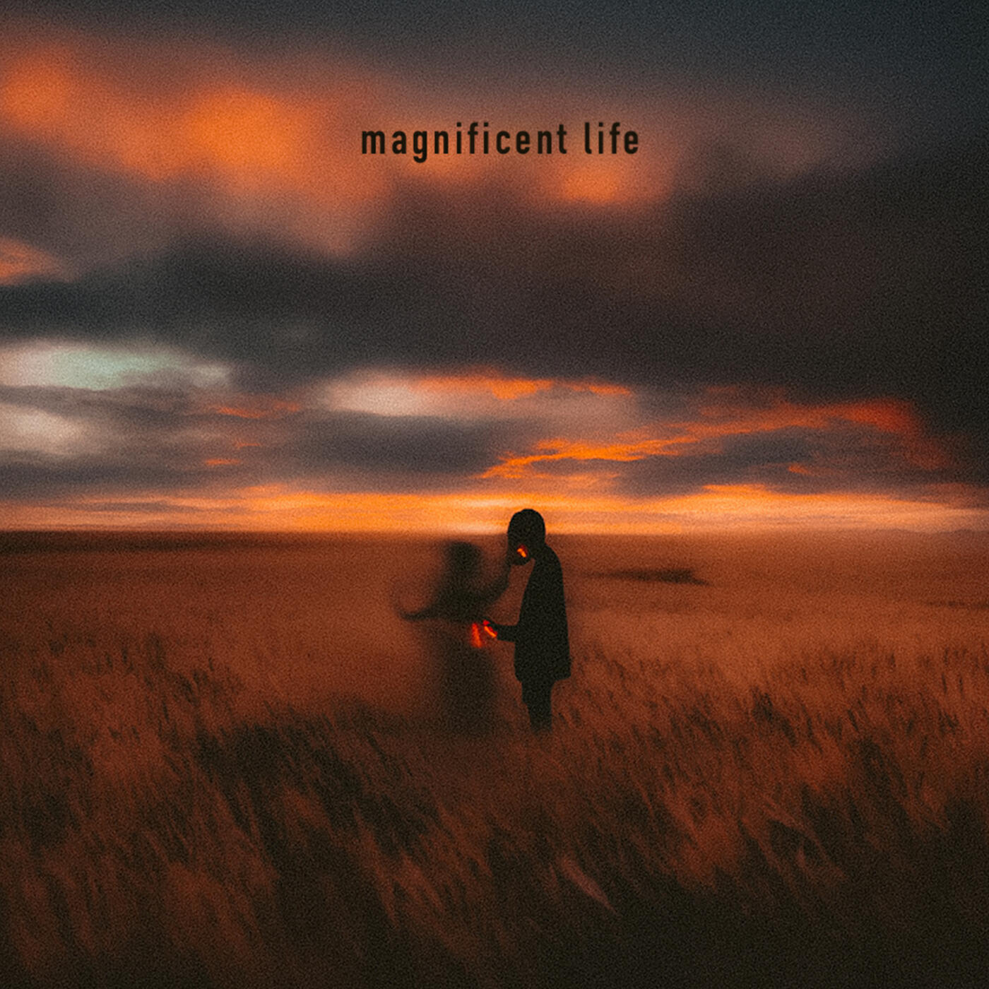 Релиз Magnificent Life