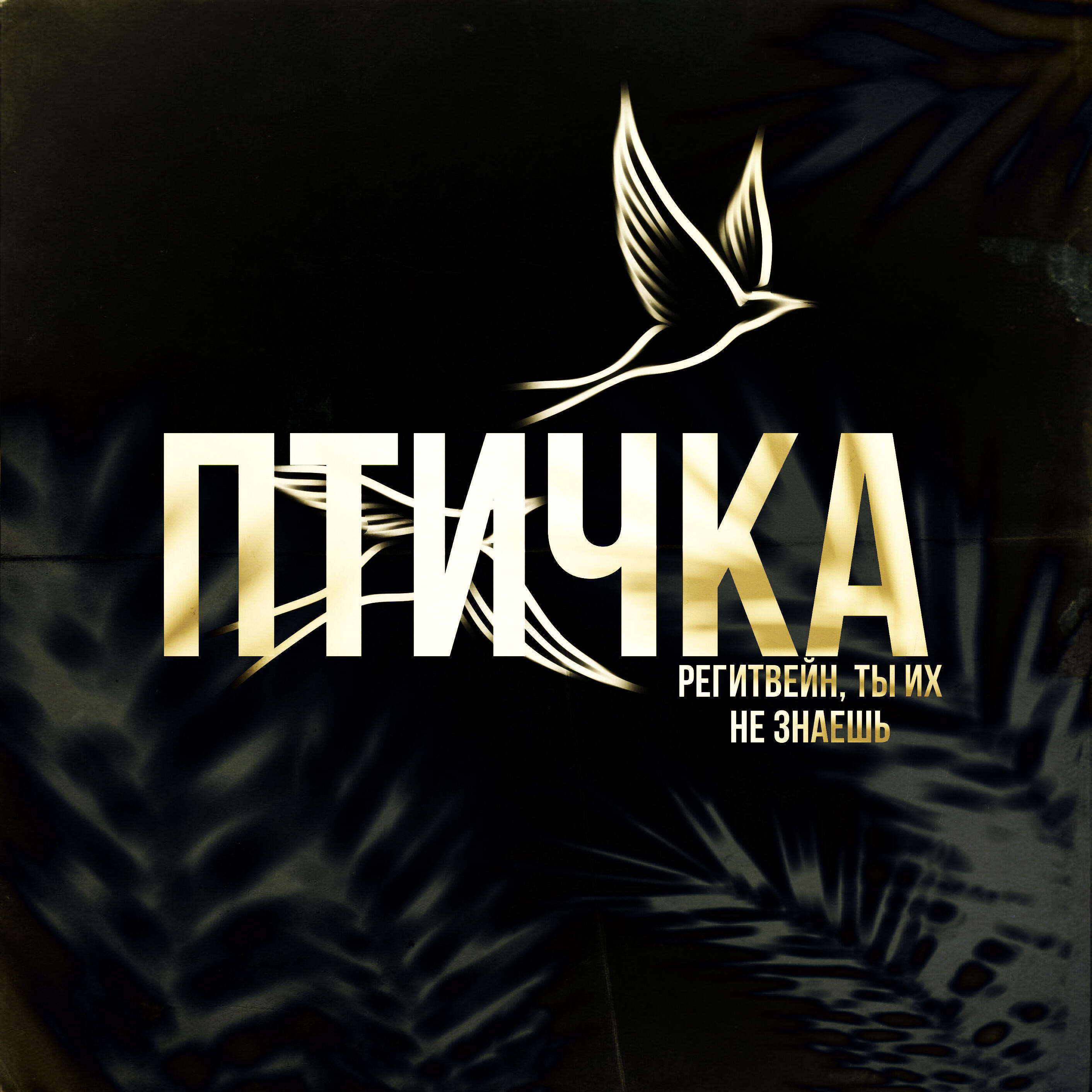 Релиз ПТИЧКА