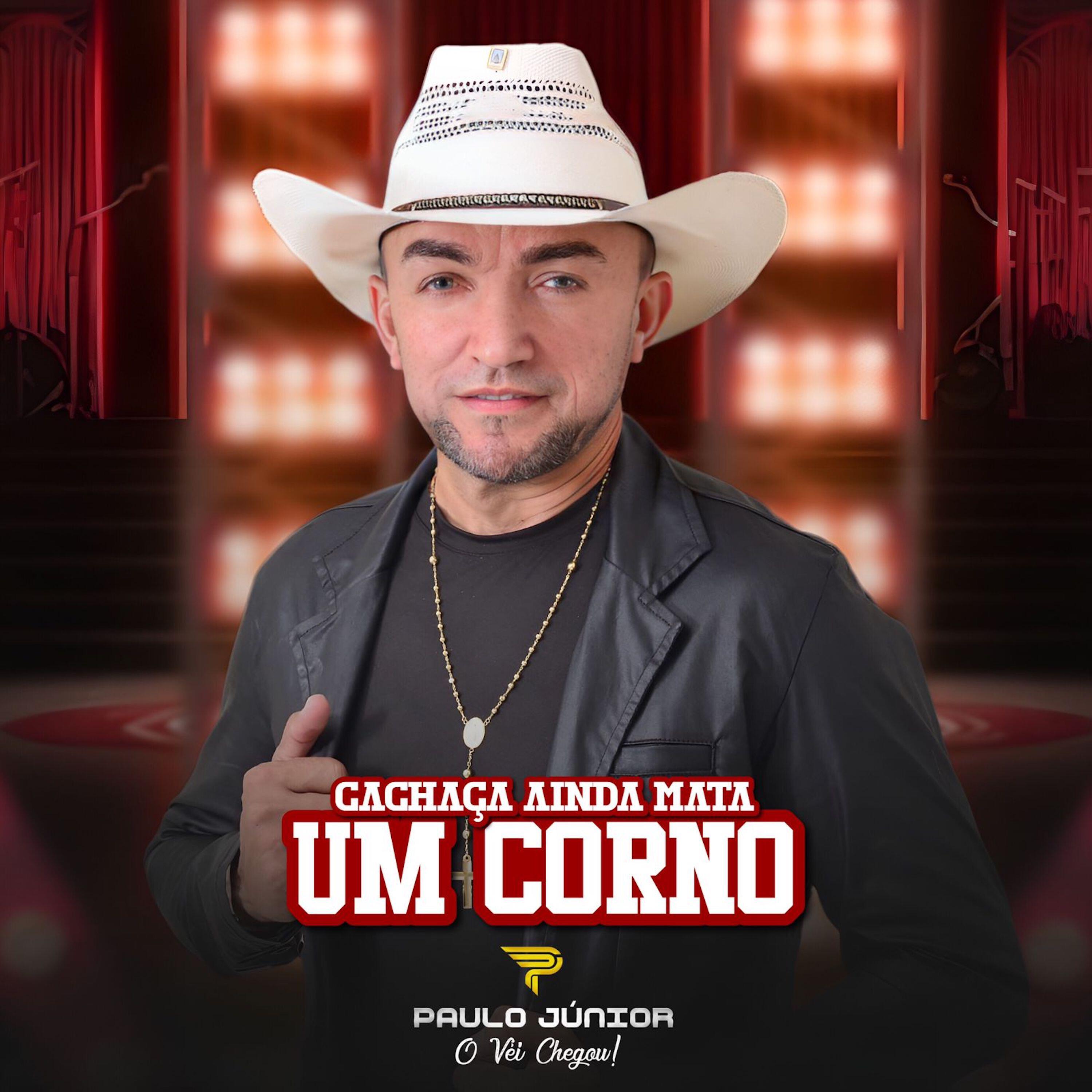 Paulo Junior
