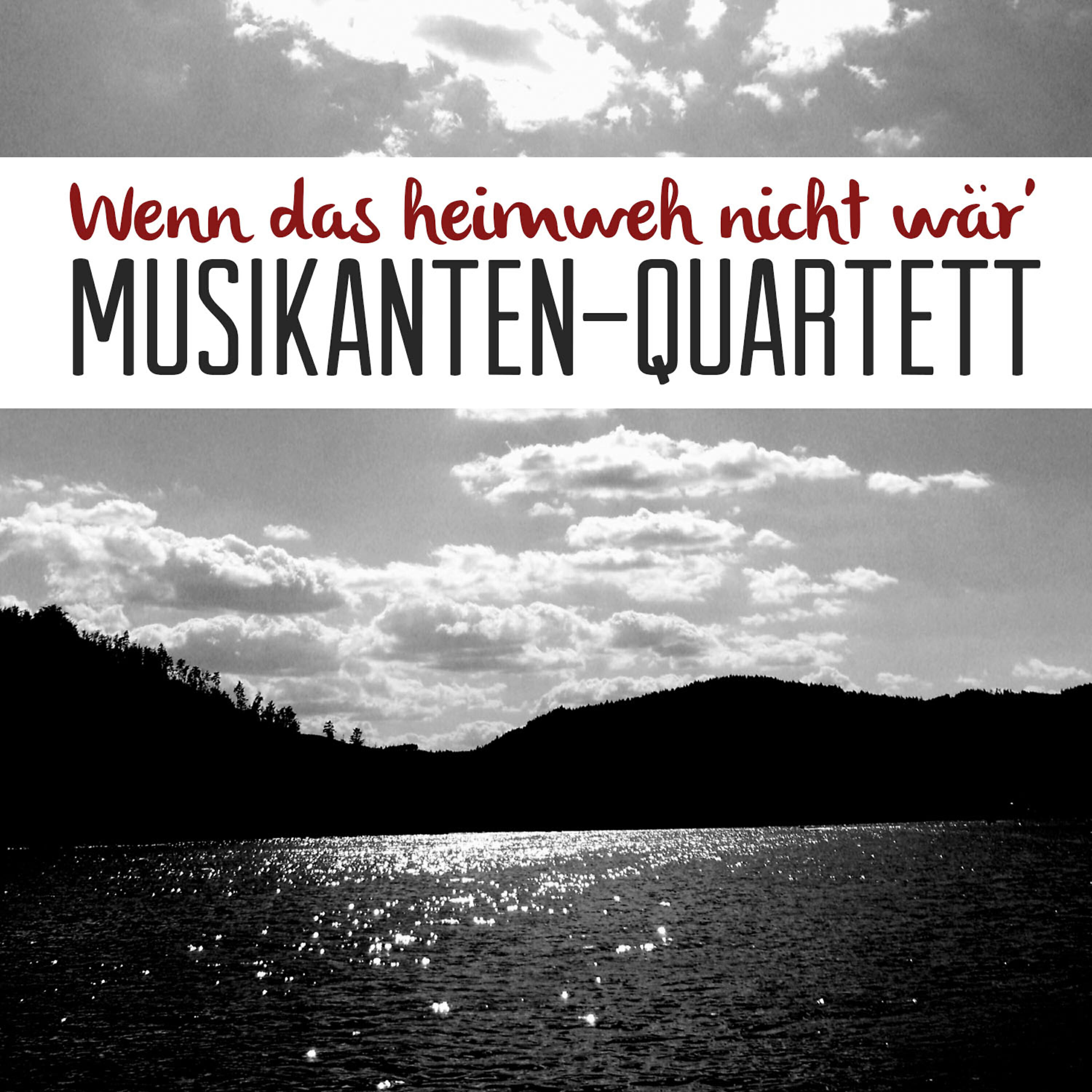 Musikanten-Quartett