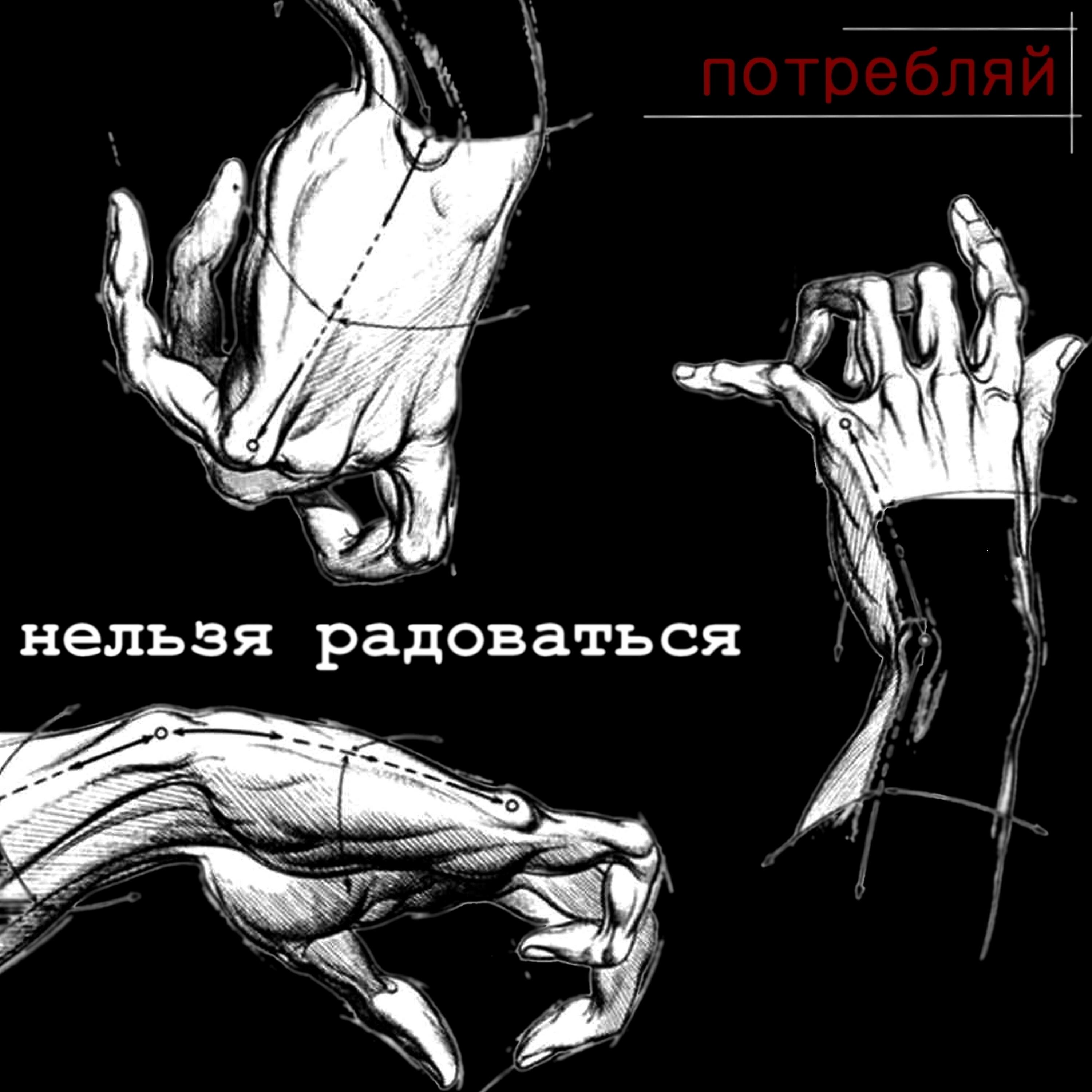 Релиз Потребляй