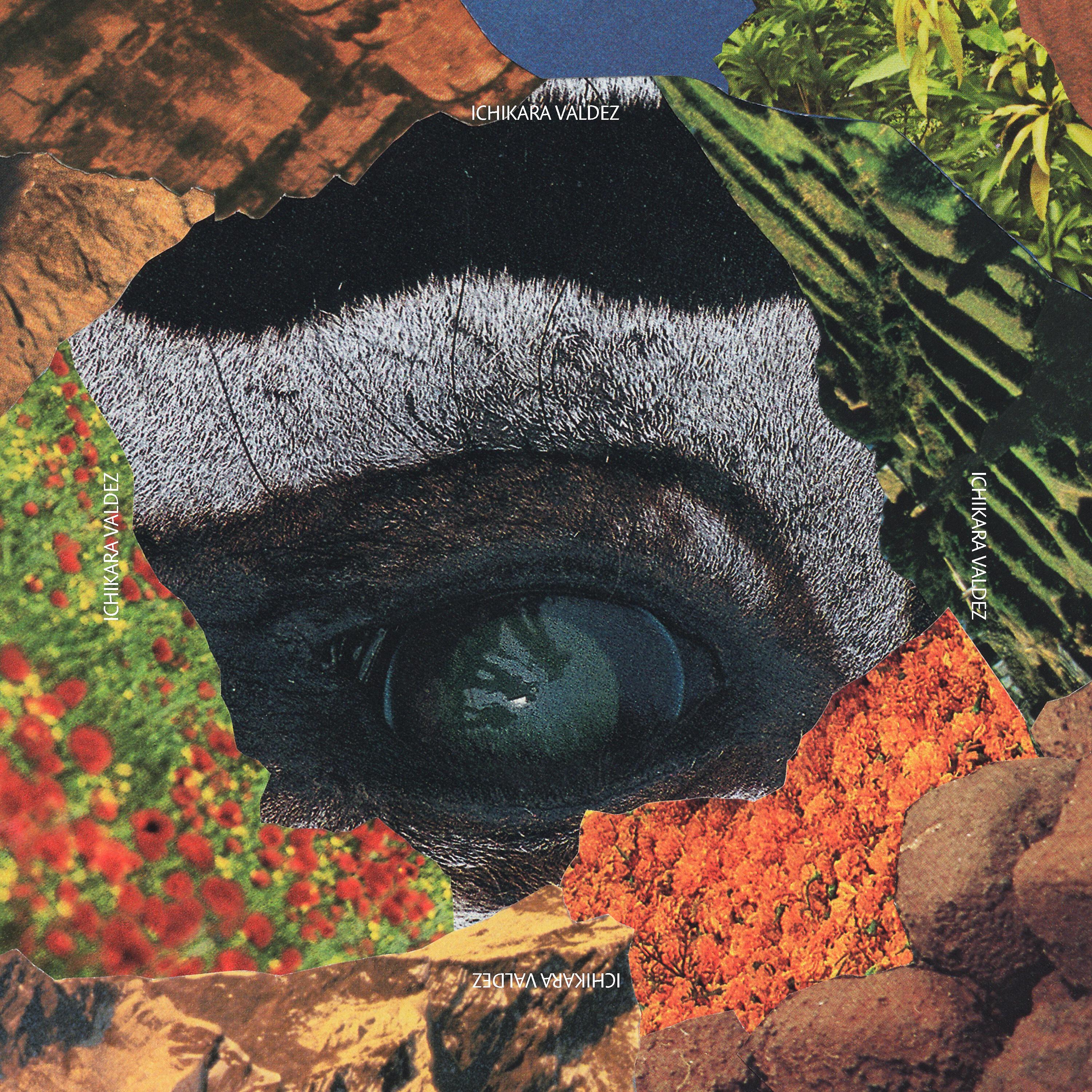 Релиз PLAIN - EP